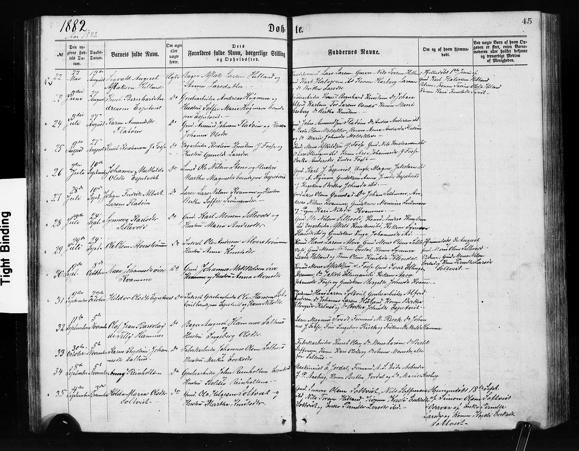 Alversund Sokneprestembete, SAB/A-73901/H/Ha/Hab: Parish register (copy) no. A 2, 1864-1905, p. 45