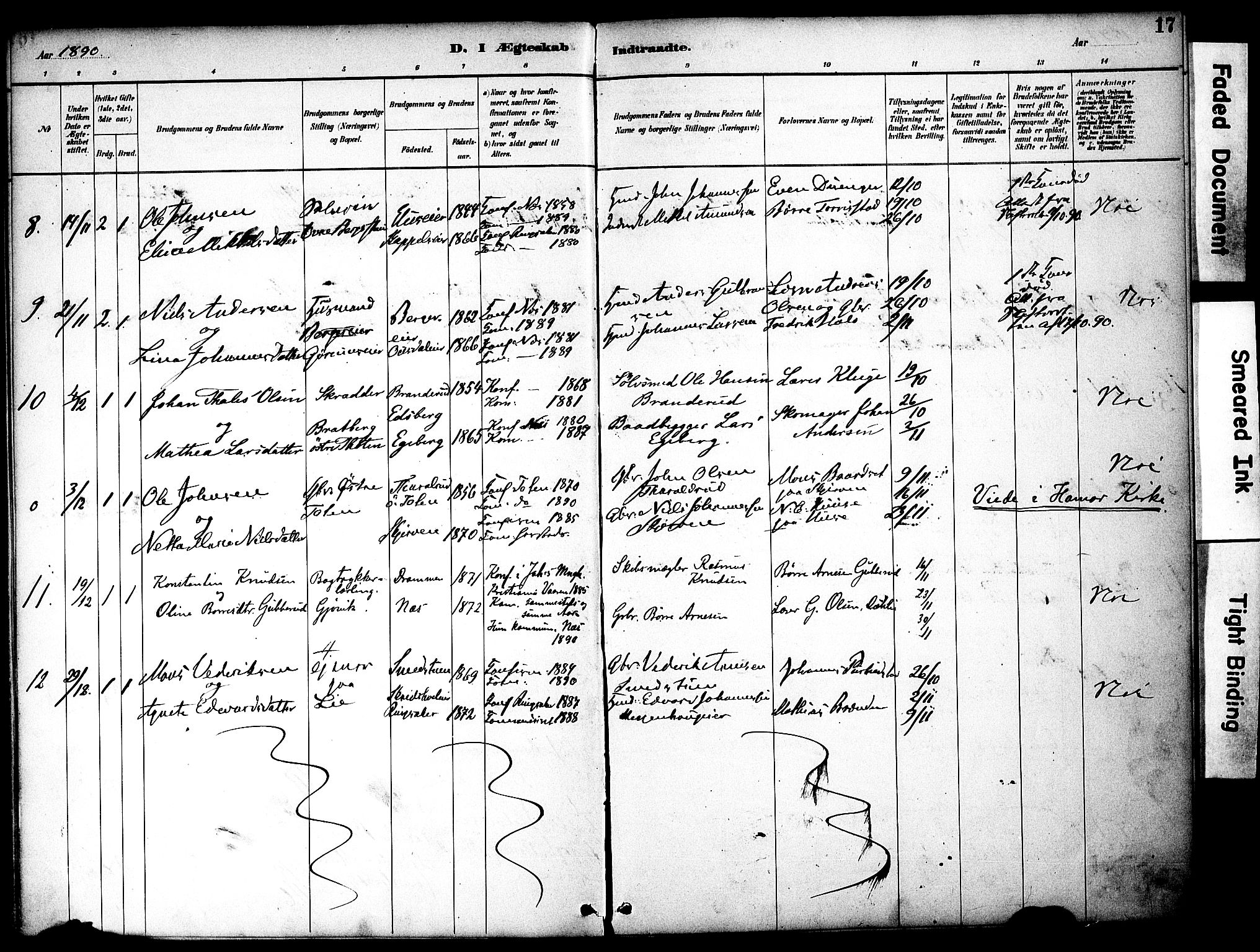 Nes prestekontor, Hedmark, AV/SAH-PREST-020/K/Ka/L0008: Parish register (official) no. 8, 1883-1905, p. 17