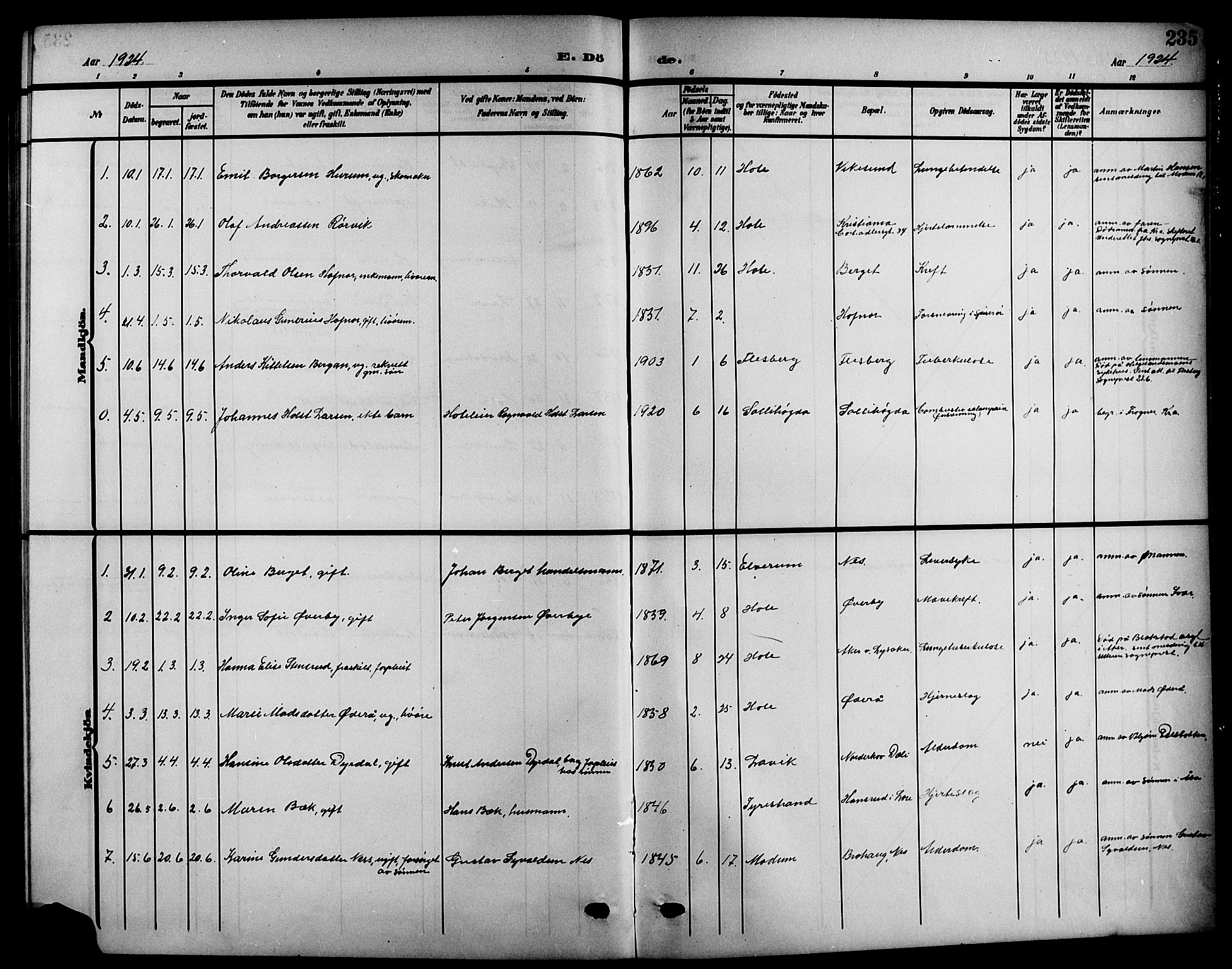 Hole kirkebøker, SAKO/A-228/G/Ga/L0004: Parish register (copy) no. I 4, 1905-1924, p. 235