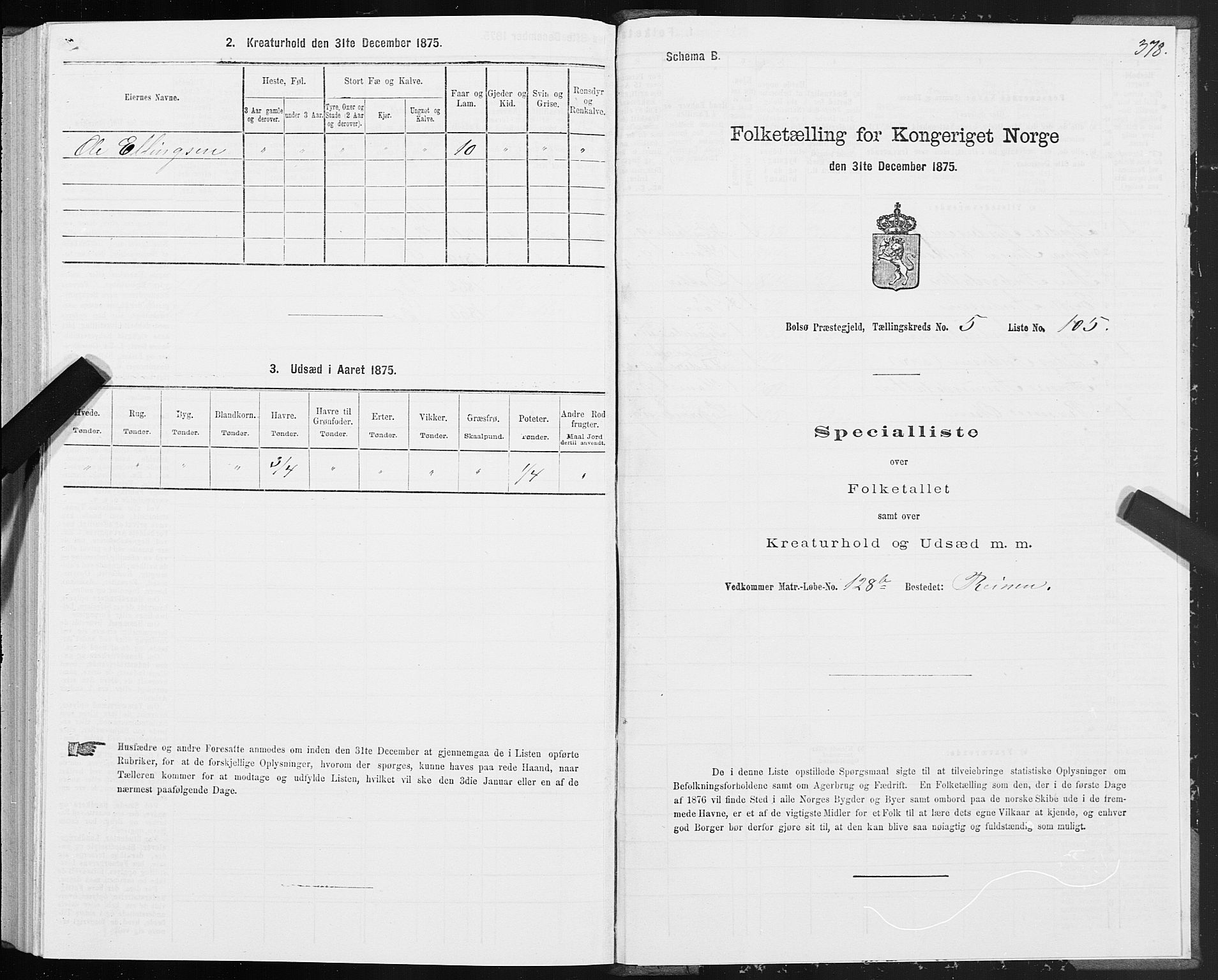 SAT, 1875 census for 1544P Bolsøy, 1875, p. 3378