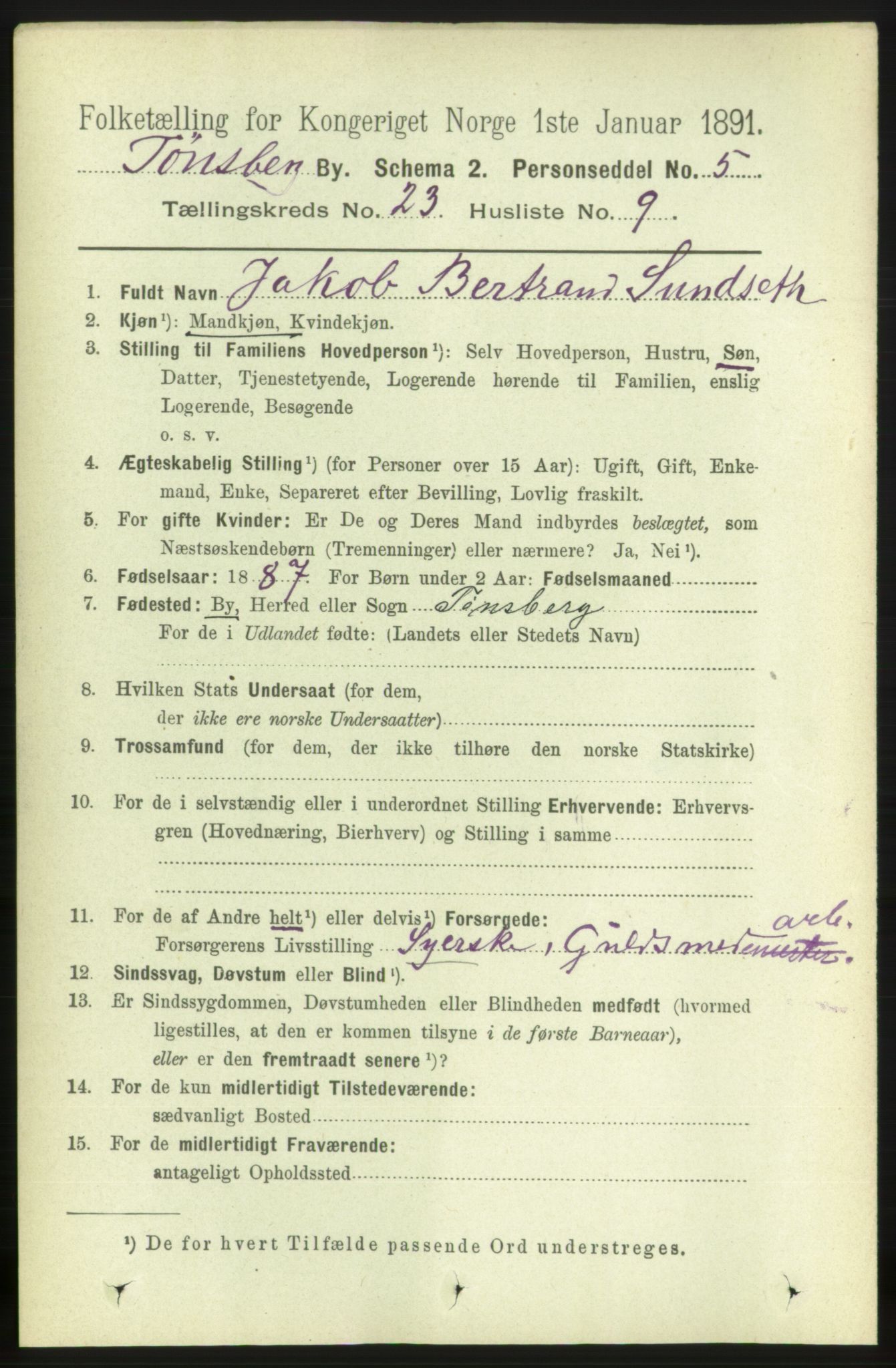 RA, 1891 census for 0705 Tønsberg, 1891, p. 6201