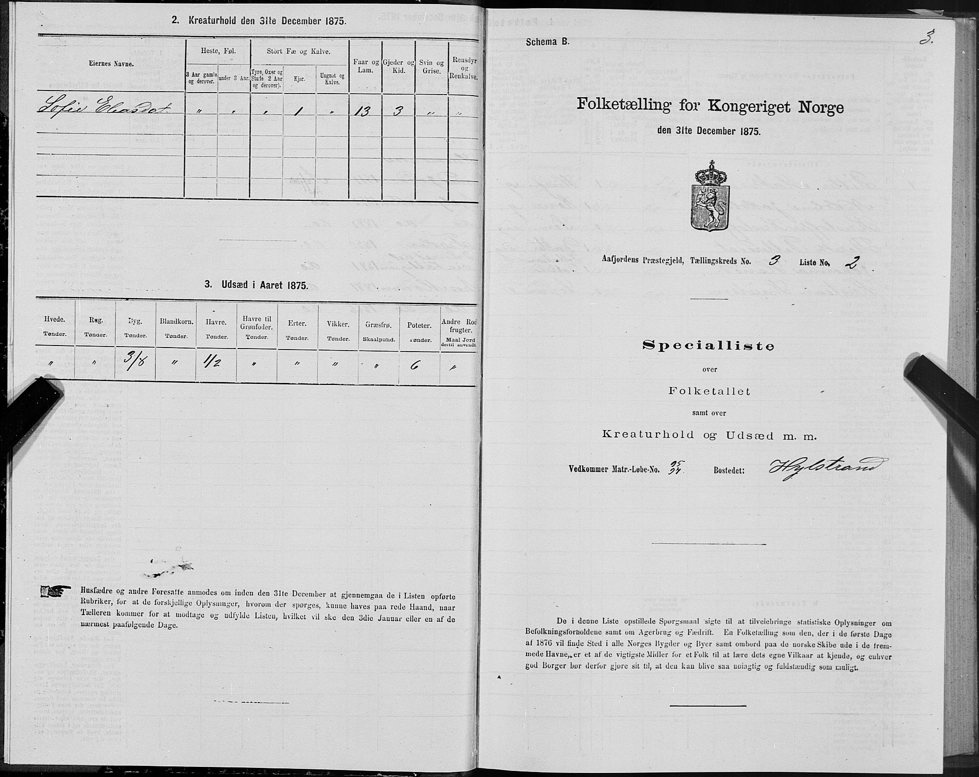 SAT, 1875 census for 1630P Aafjorden, 1875, p. 2003