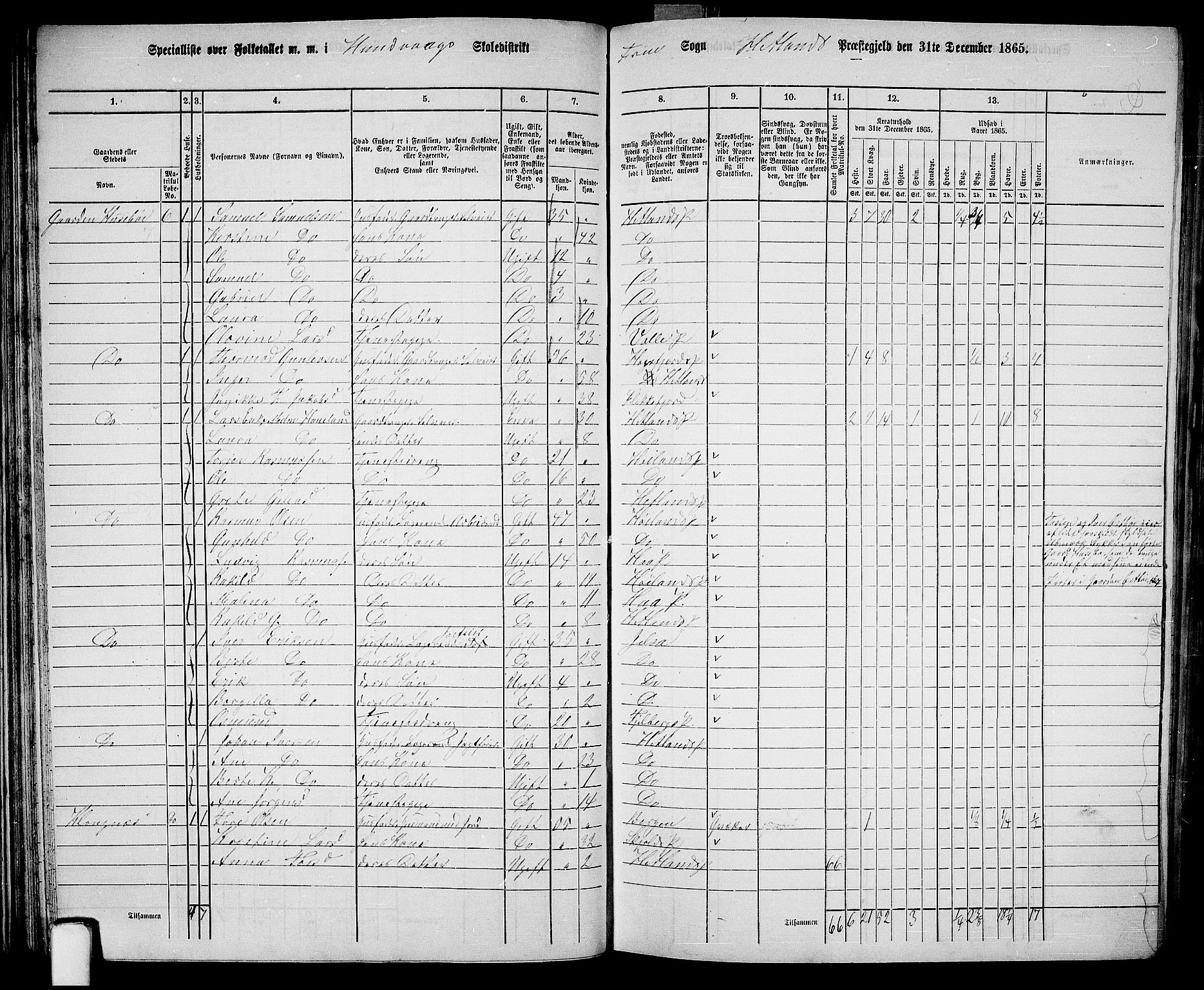 RA, 1865 census for Hetland, 1865, p. 45