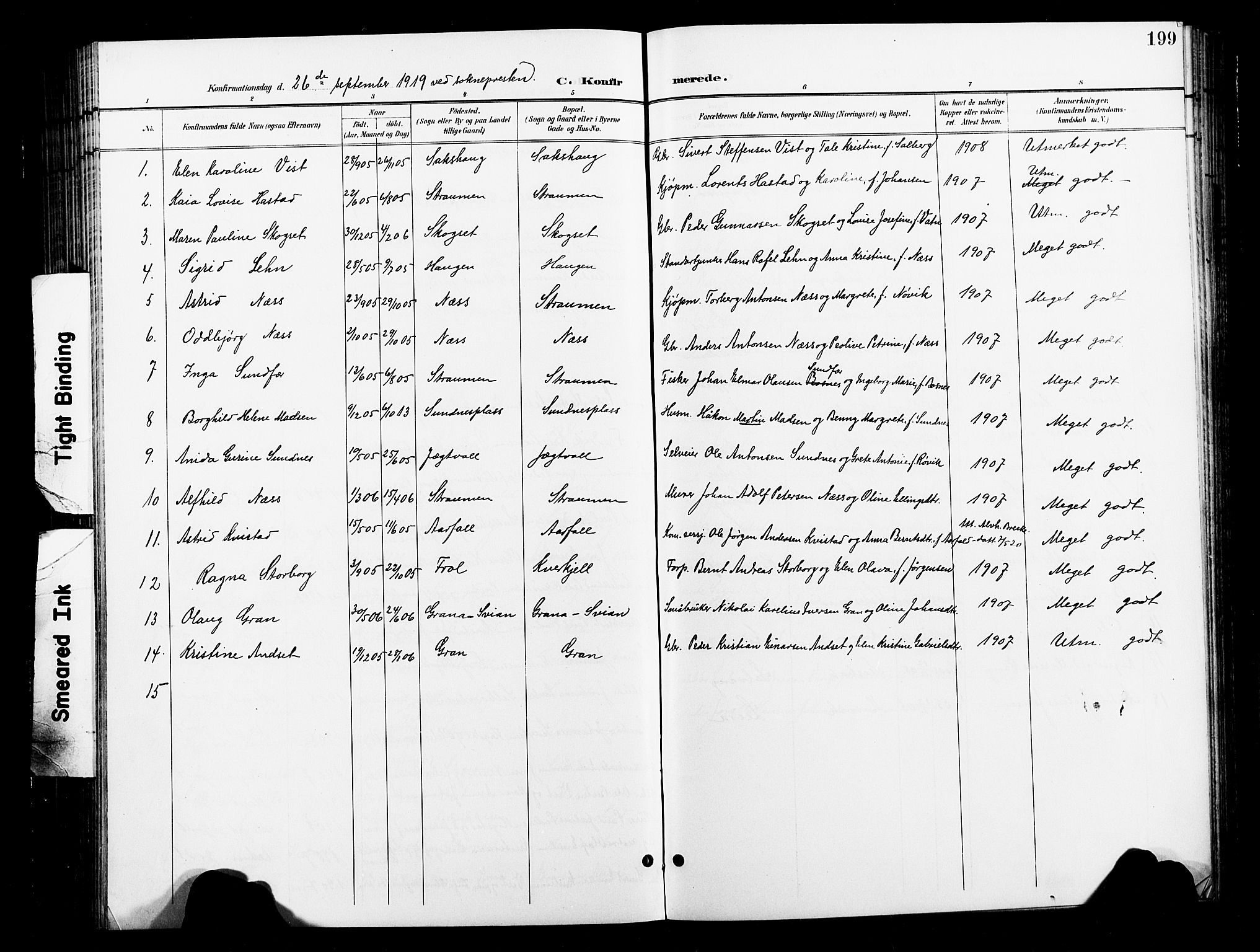 Ministerialprotokoller, klokkerbøker og fødselsregistre - Nord-Trøndelag, SAT/A-1458/730/L0302: Parish register (copy) no. 730C05, 1898-1924, p. 199