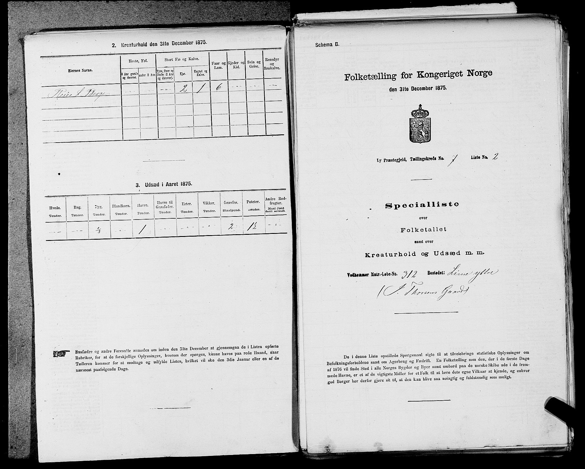 SAST, 1875 census for 1121P Lye, 1875, p. 811