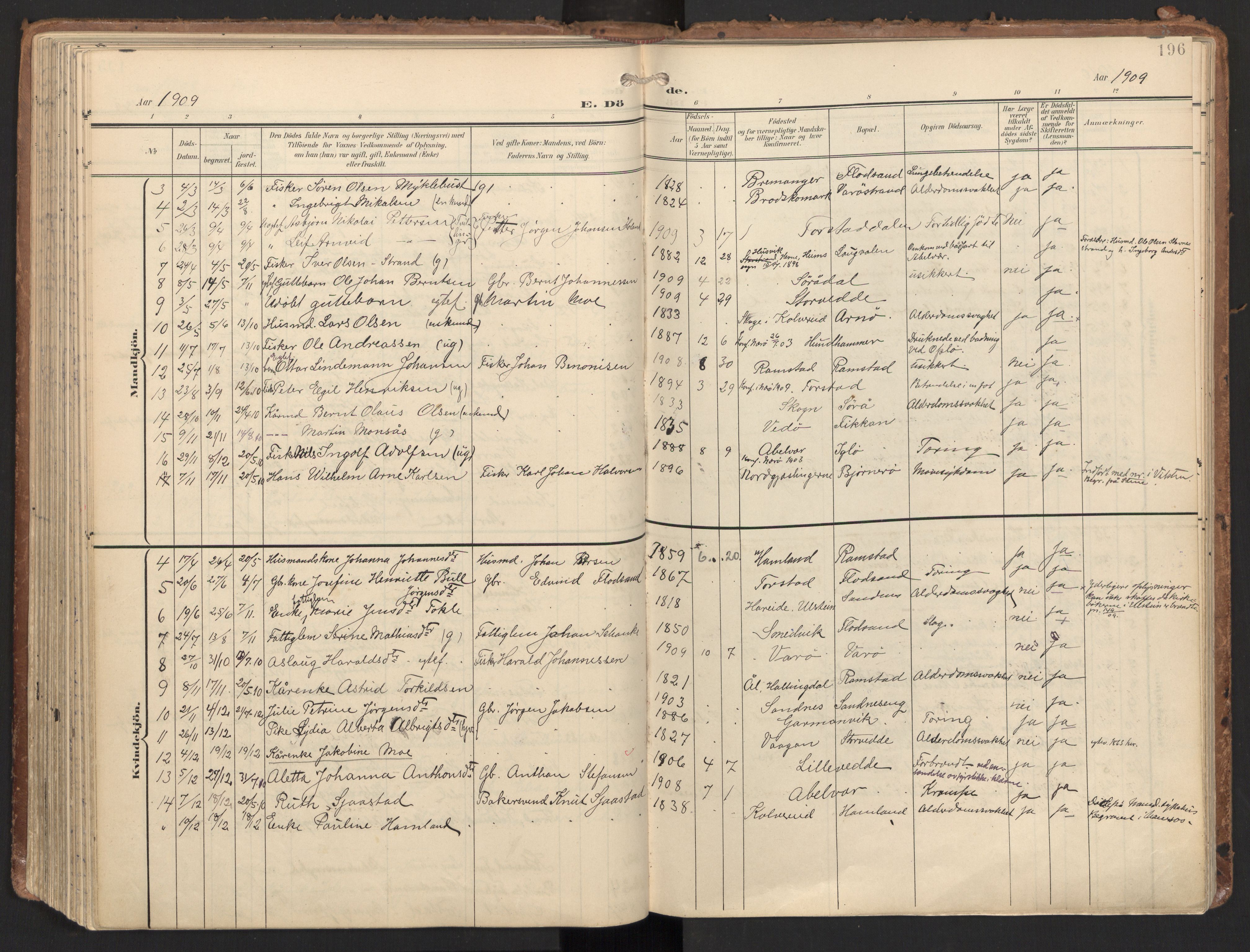 Ministerialprotokoller, klokkerbøker og fødselsregistre - Nord-Trøndelag, SAT/A-1458/784/L0677: Parish register (official) no. 784A12, 1900-1920, p. 196