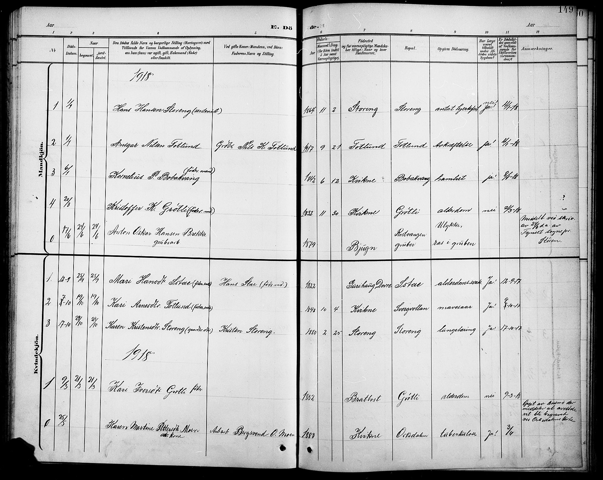 Kvikne prestekontor, SAH/PREST-064/H/Ha/Hab/L0003: Parish register (copy) no. 3, 1896-1918, p. 149