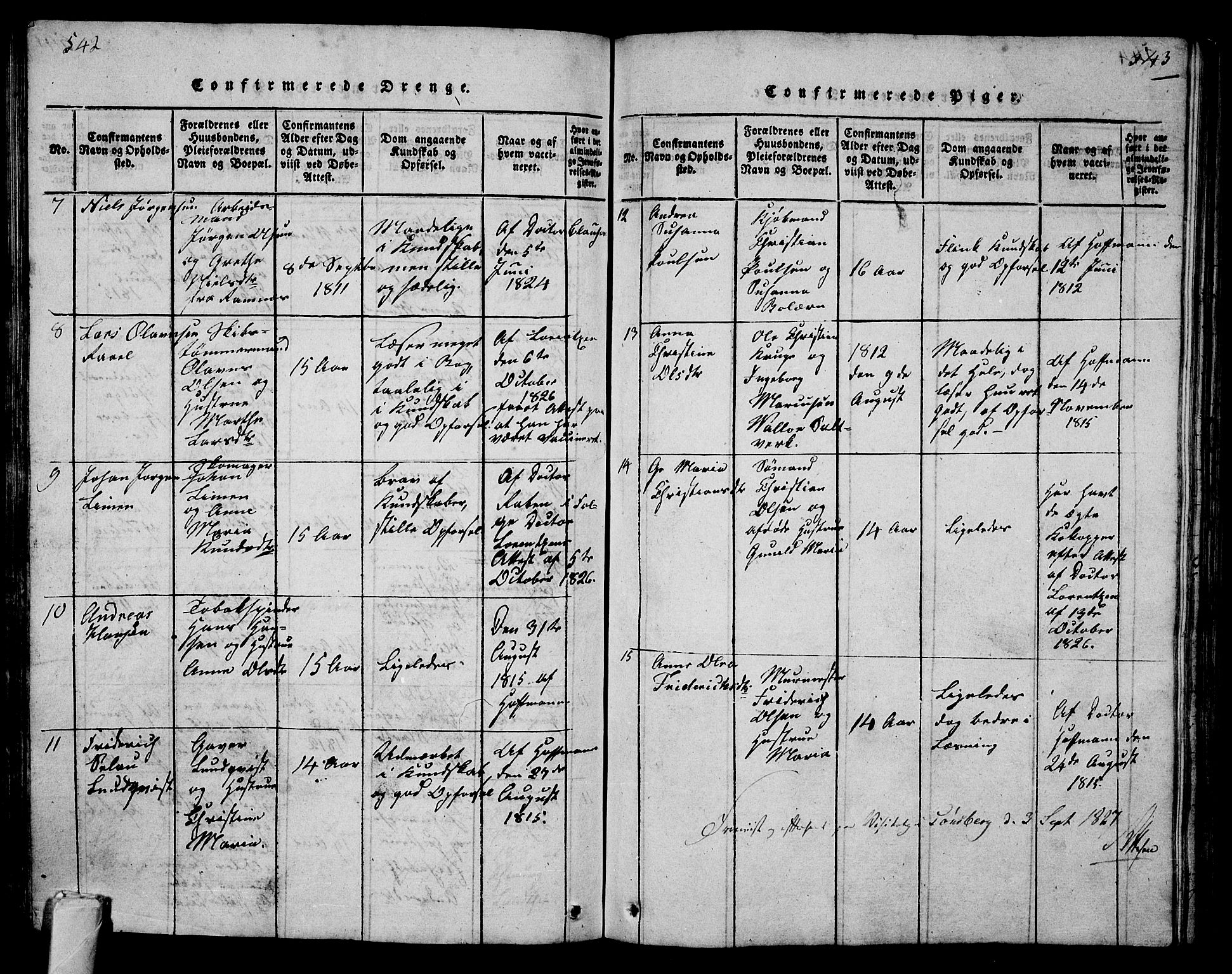 Tønsberg kirkebøker, SAKO/A-330/G/Ga/L0001: Parish register (copy) no. 1, 1813-1826, p. 542-543