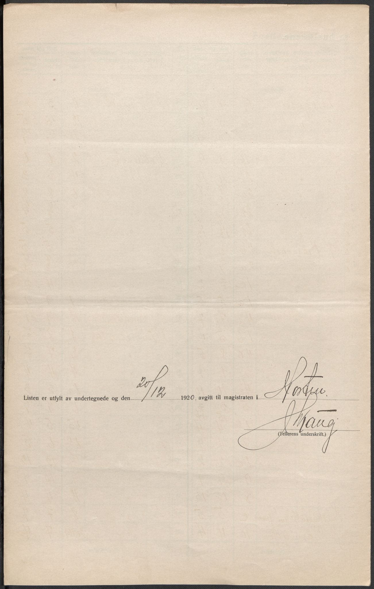 SAKO, 1920 census for Horten, 1920, p. 13