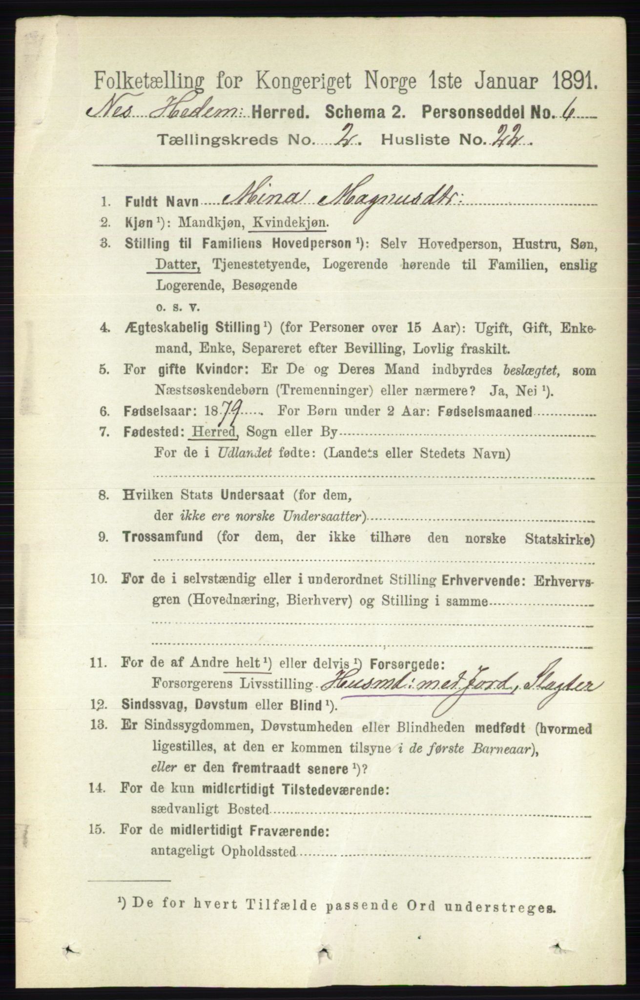 RA, 1891 census for 0411 Nes, 1891, p. 1240
