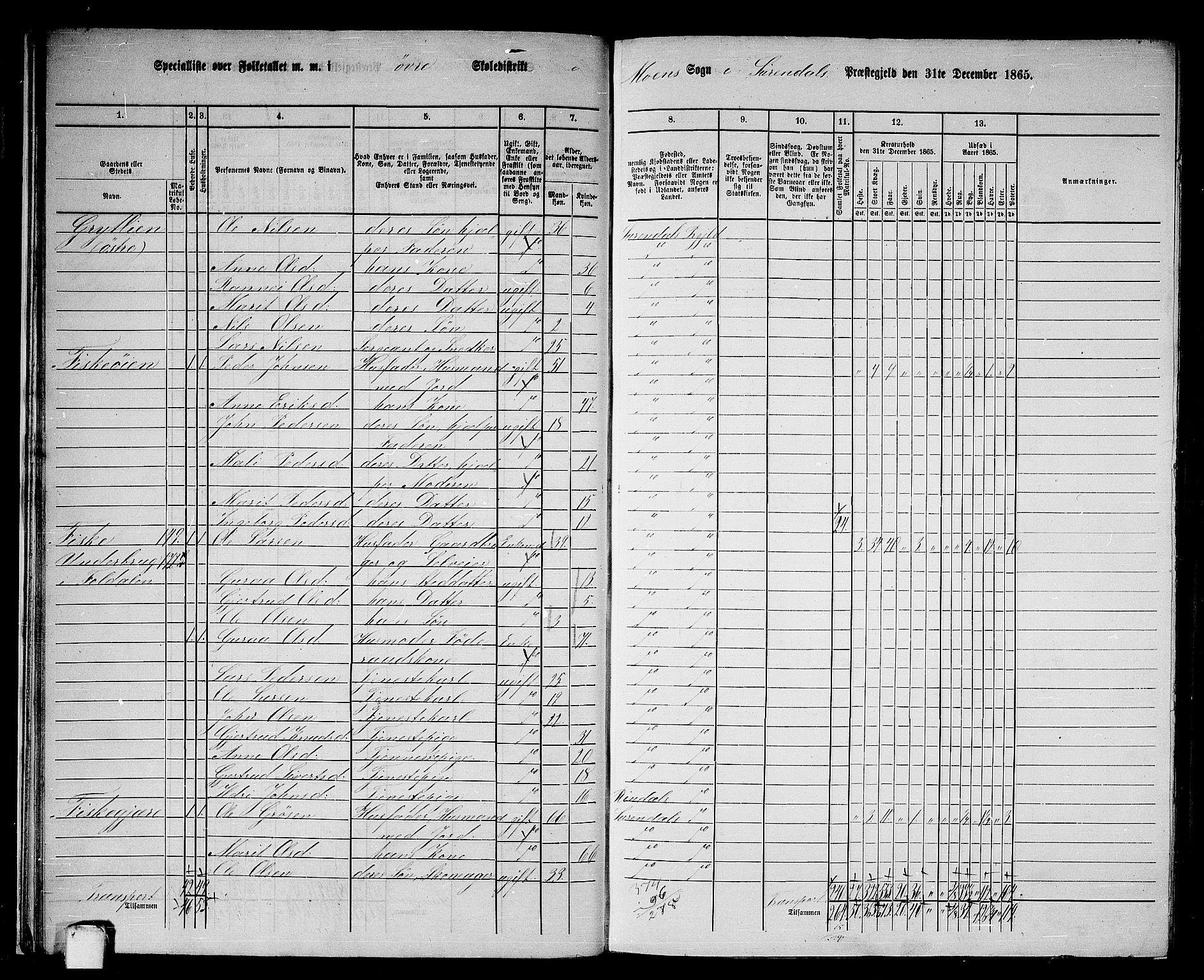 RA, 1865 census for Surnadal, 1865, p. 21