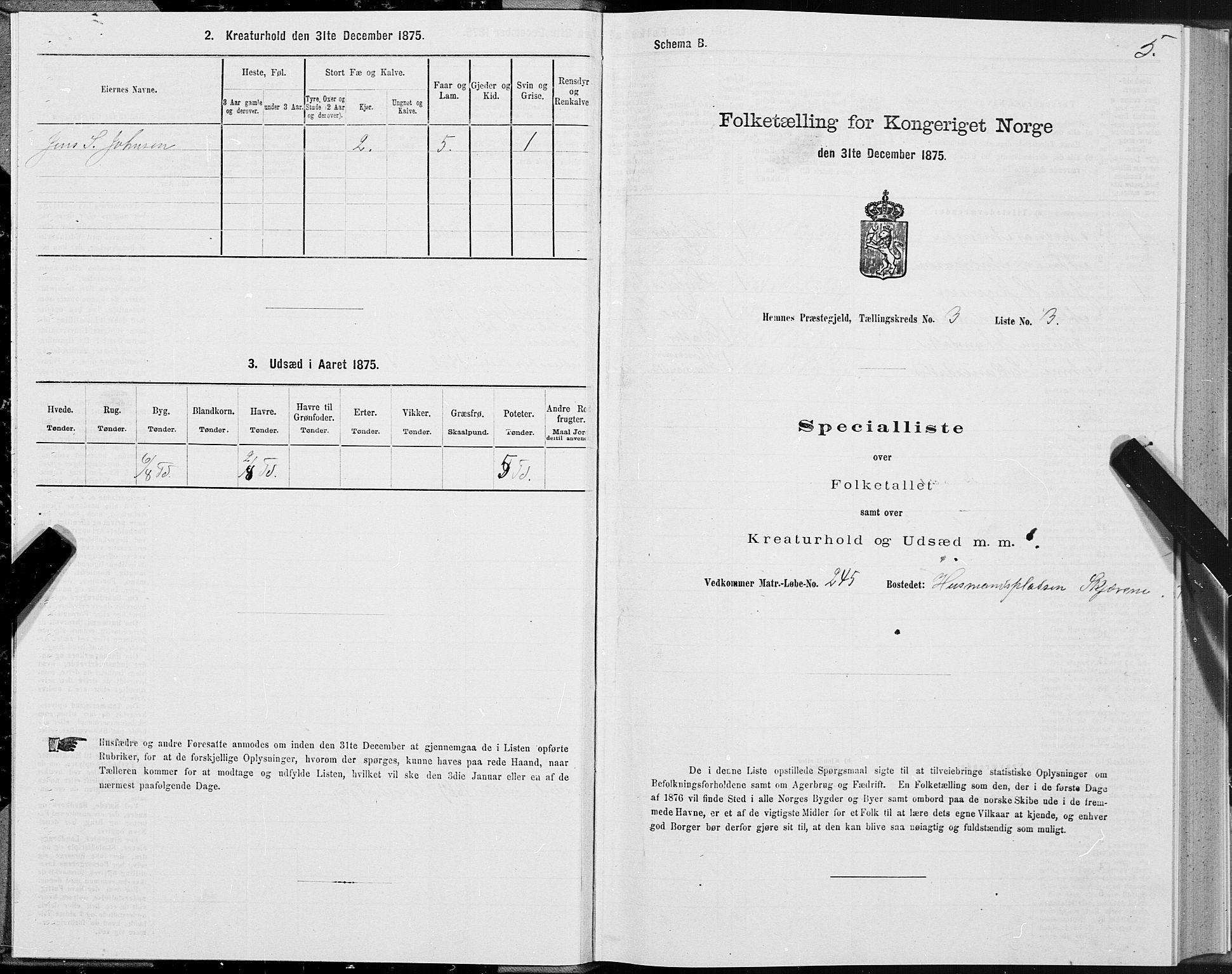 SAT, 1875 census for 1832P Hemnes, 1875, p. 2005