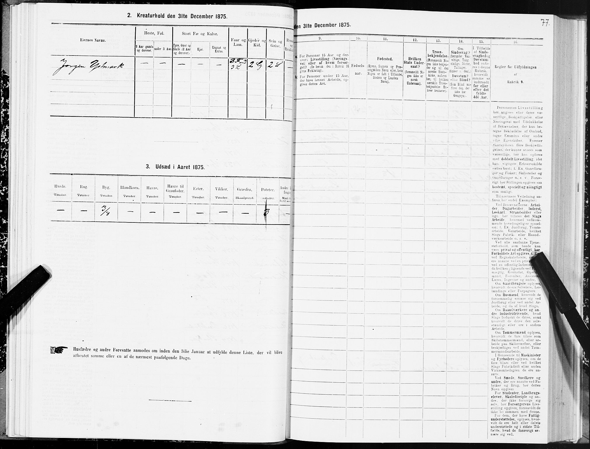 SAT, 1875 census for 1702B Steinkjer/Steinkjer, 1875, p. 77