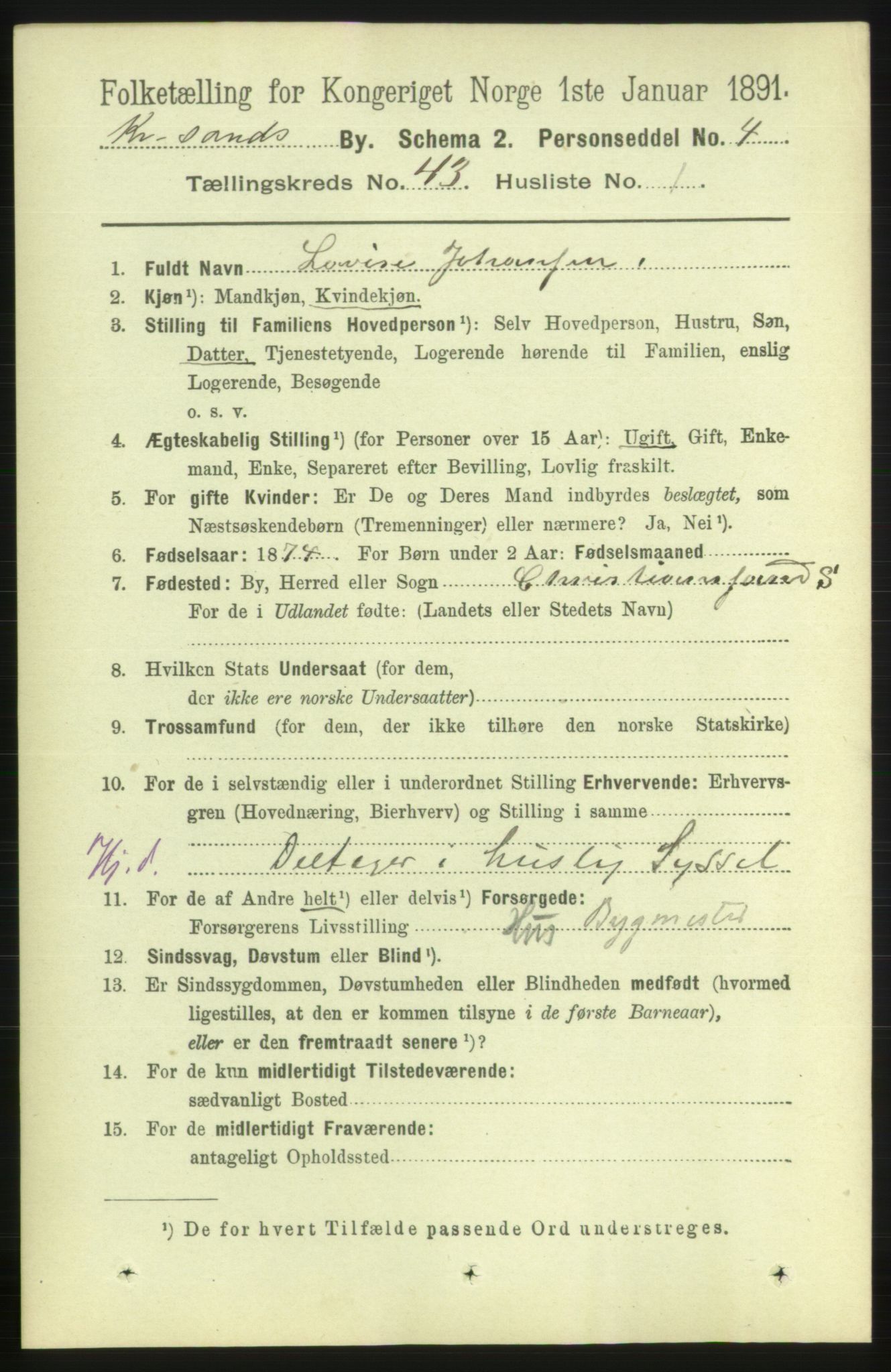 RA, 1891 census for 1001 Kristiansand, 1891, p. 13176