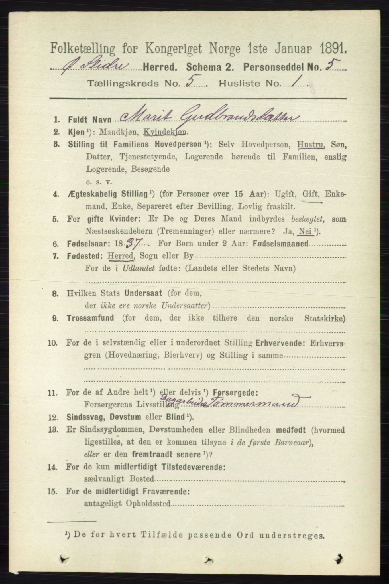 RA, 1891 census for 0544 Øystre Slidre, 1891, p. 1606