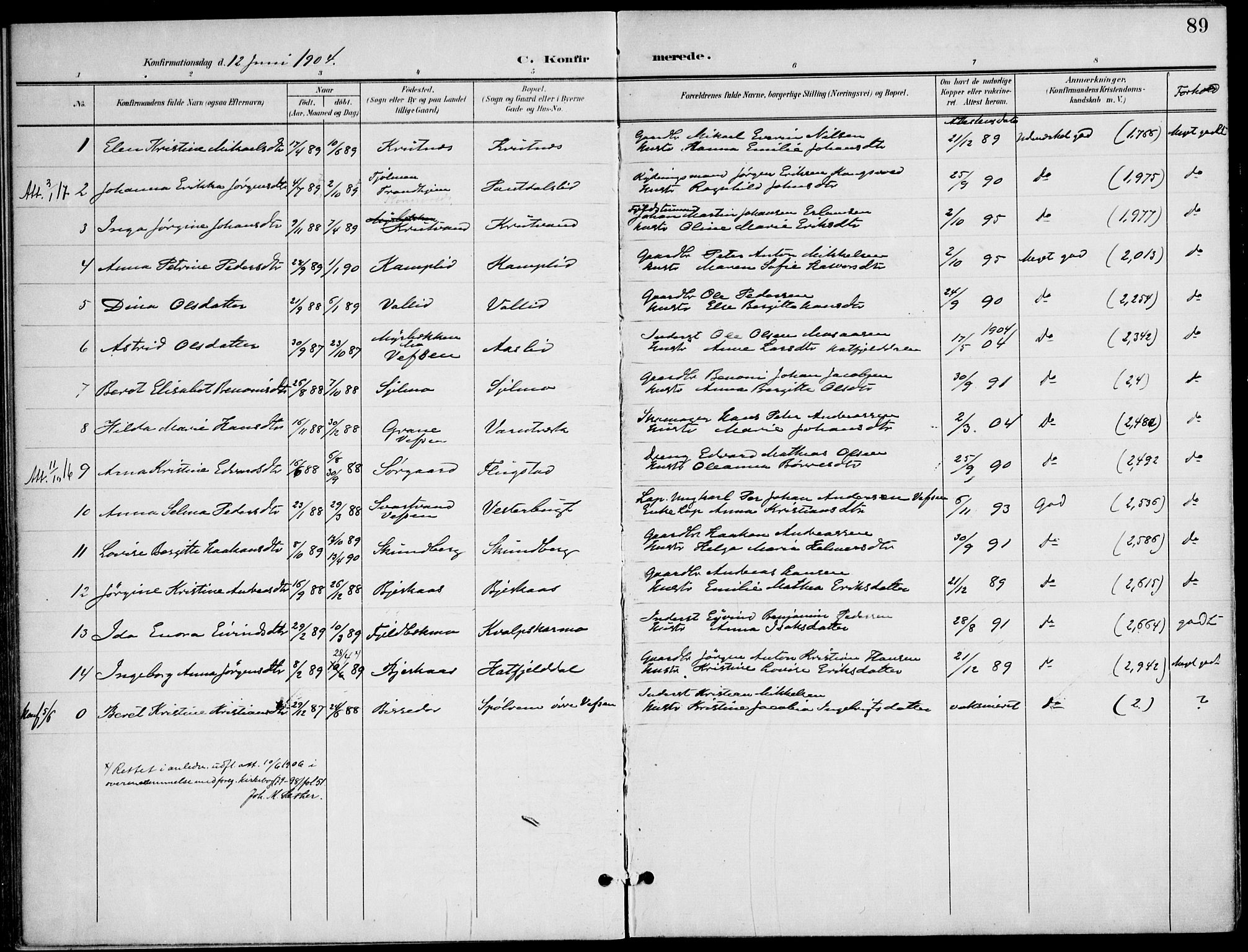 Ministerialprotokoller, klokkerbøker og fødselsregistre - Nordland, AV/SAT-A-1459/823/L0326: Parish register (official) no. 823A03, 1899-1919, p. 89