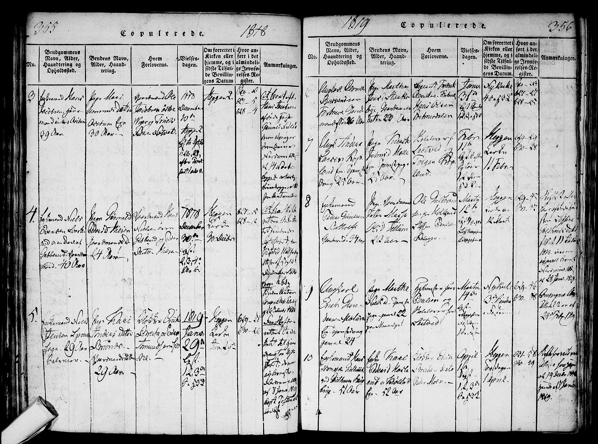 Modum kirkebøker, SAKO/A-234/F/Fa/L0004: Parish register (official) no. 4, 1818-1824, p. 355-356