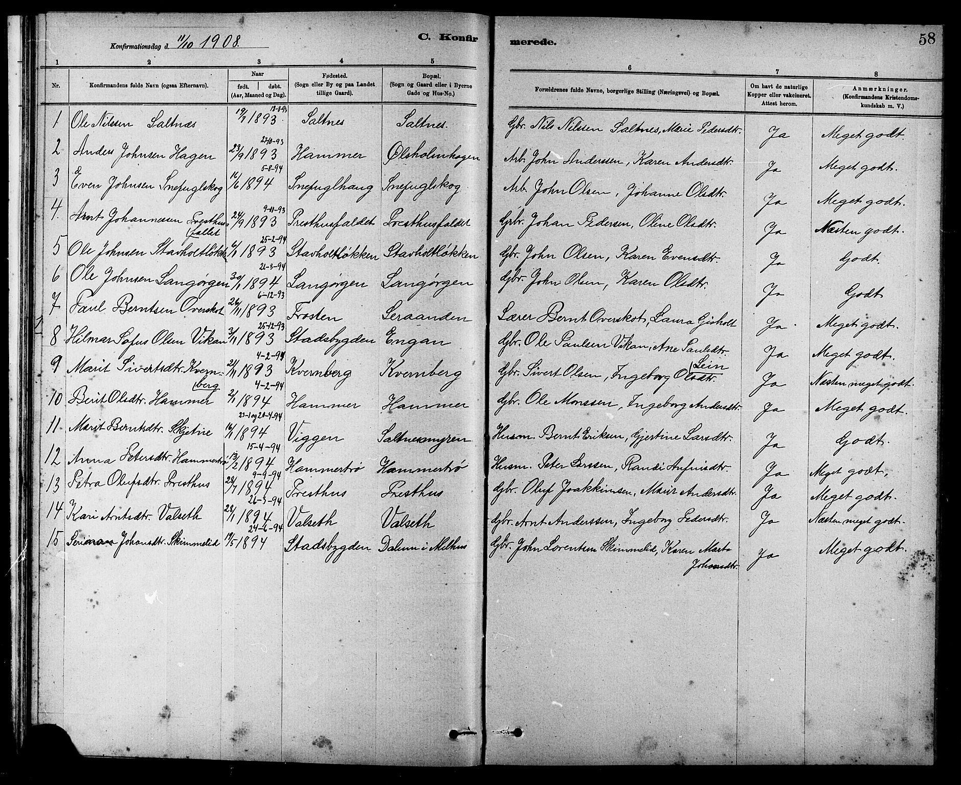 Ministerialprotokoller, klokkerbøker og fødselsregistre - Sør-Trøndelag, SAT/A-1456/666/L0790: Parish register (copy) no. 666C03, 1885-1908, p. 58