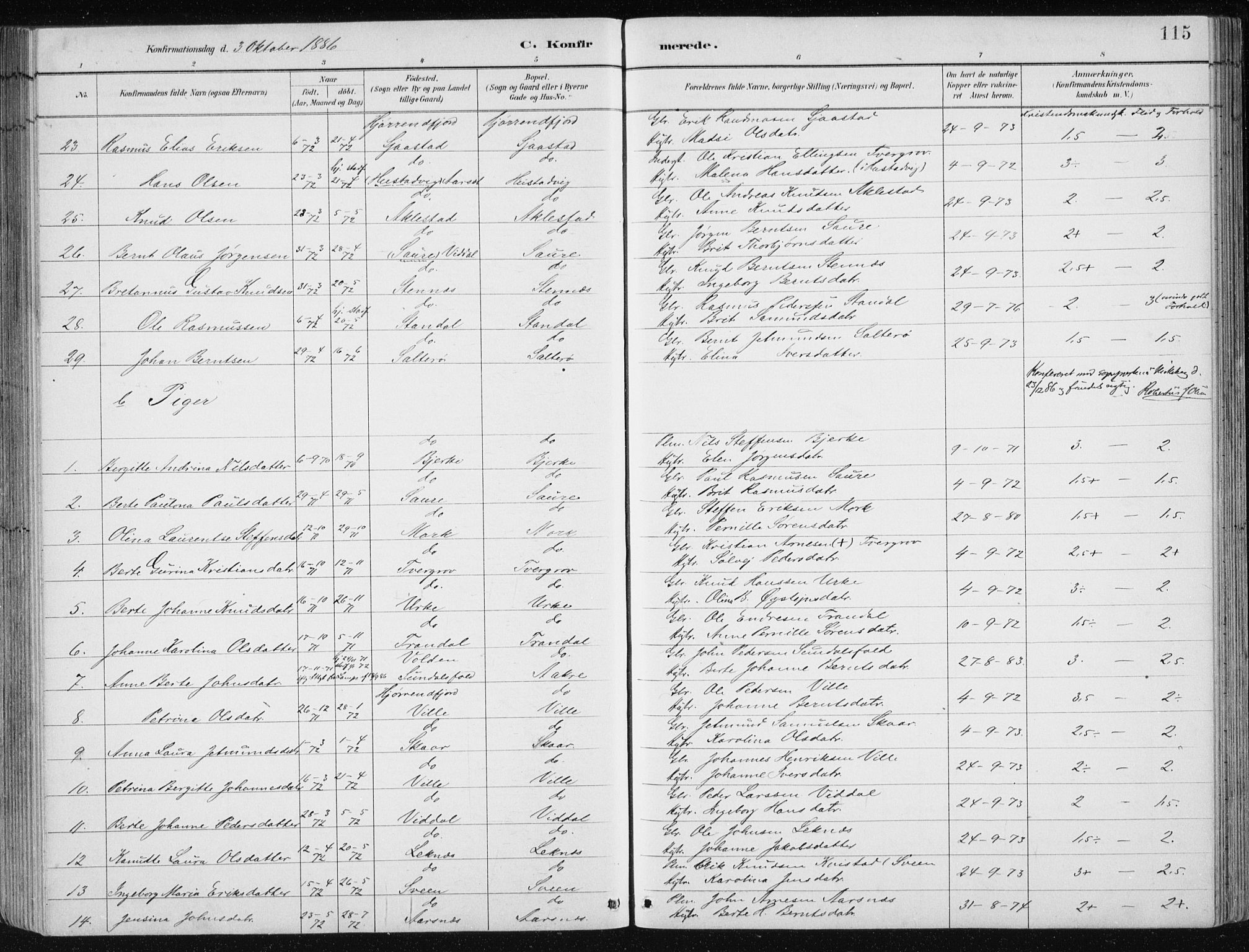 Ministerialprotokoller, klokkerbøker og fødselsregistre - Møre og Romsdal, AV/SAT-A-1454/515/L0215: Parish register (copy) no. 515C02, 1884-1906, p. 115