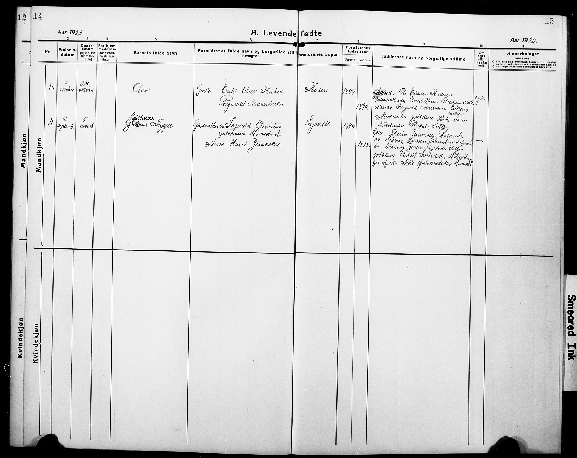 Nord-Audnedal sokneprestkontor, SAK/1111-0032/F/Fb/Fbb/L0005: Parish register (copy) no. B 5, 1918-1929, p. 14-15