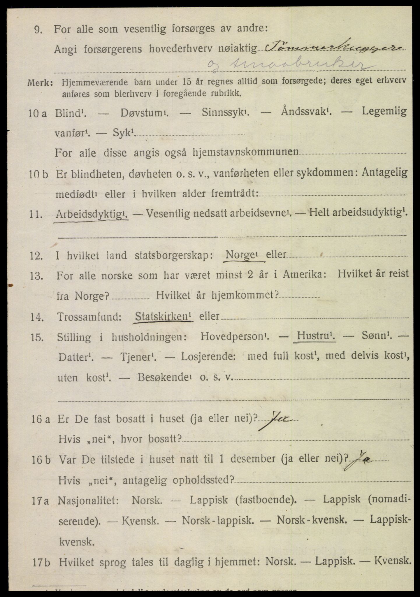SAT, 1920 census for Sørli, 1920, p. 1048