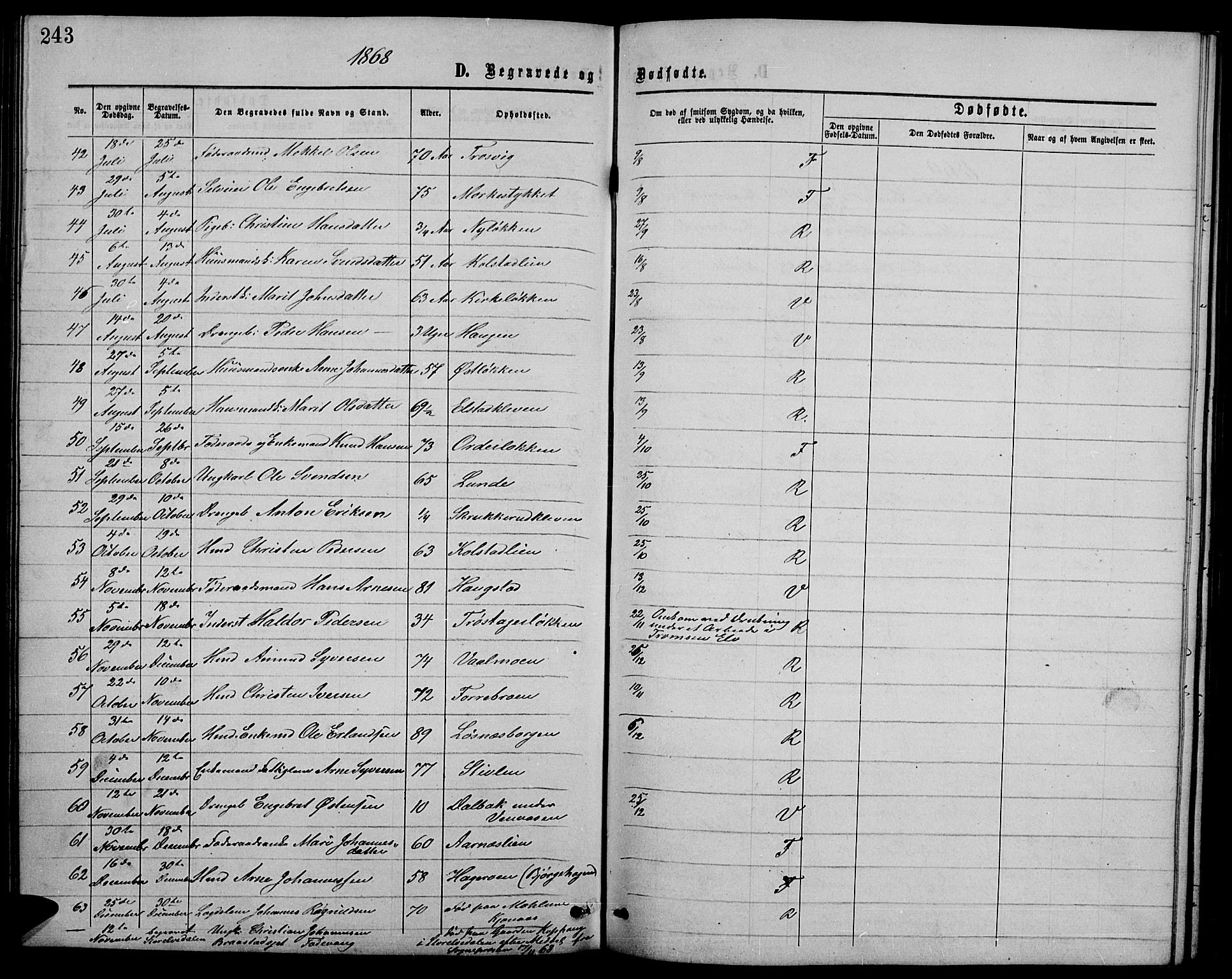 Ringebu prestekontor, SAH/PREST-082/H/Ha/Hab/L0004: Parish register (copy) no. 4, 1867-1879, p. 243