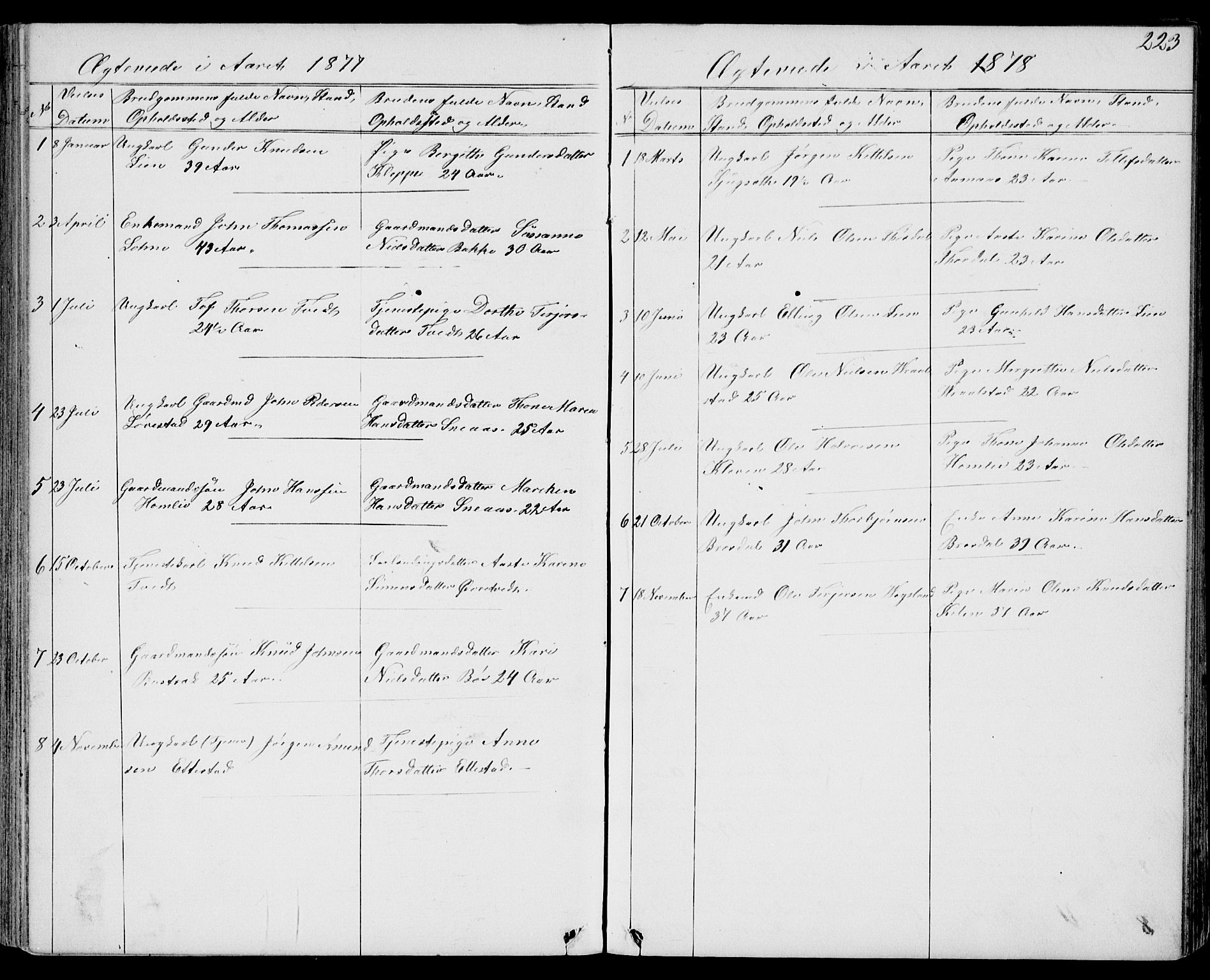 Drangedal kirkebøker, AV/SAKO-A-258/G/Gb/L0001: Parish register (copy) no. II 1, 1856-1894, p. 223