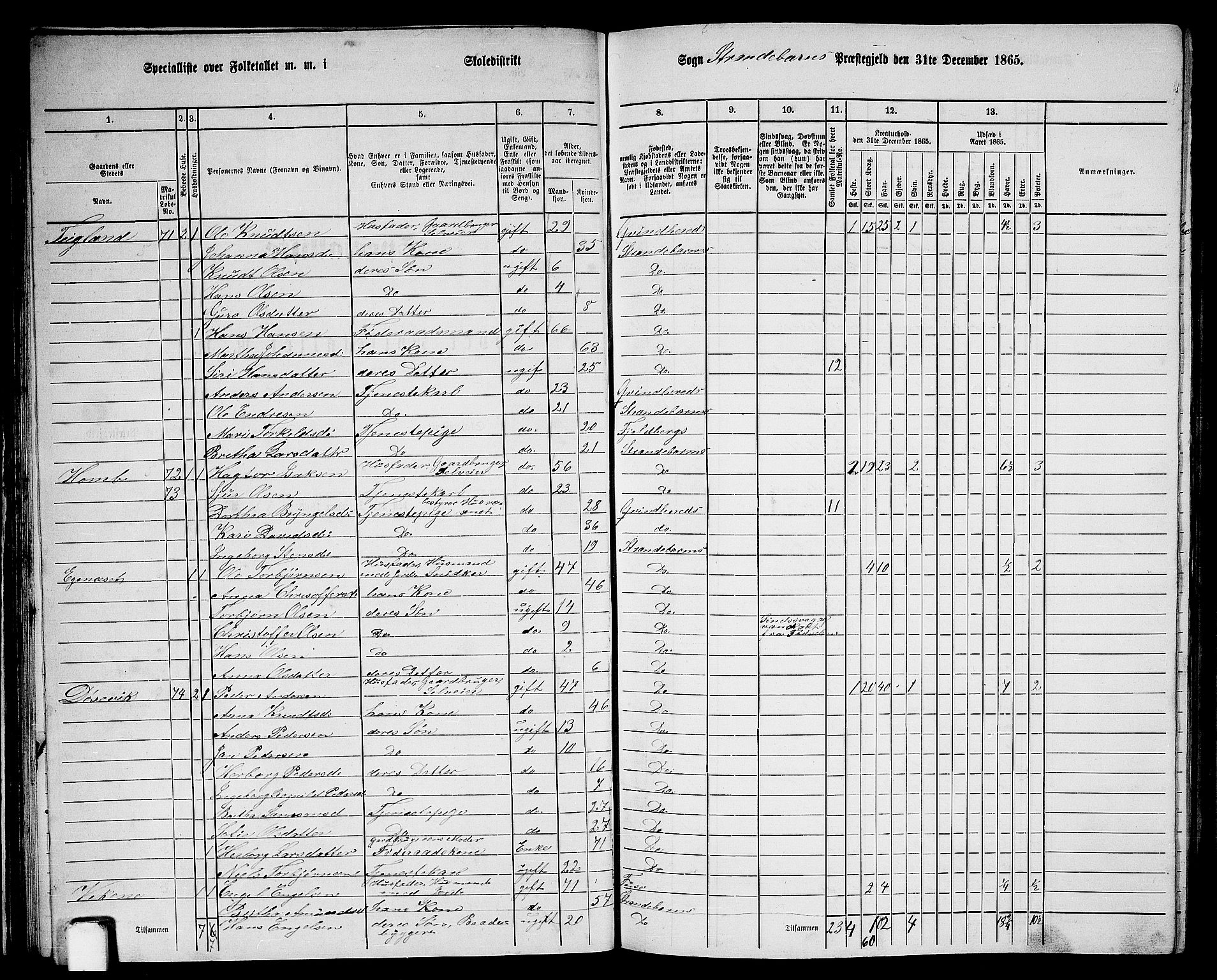 RA, 1865 census for Strandebarm, 1865, p. 40