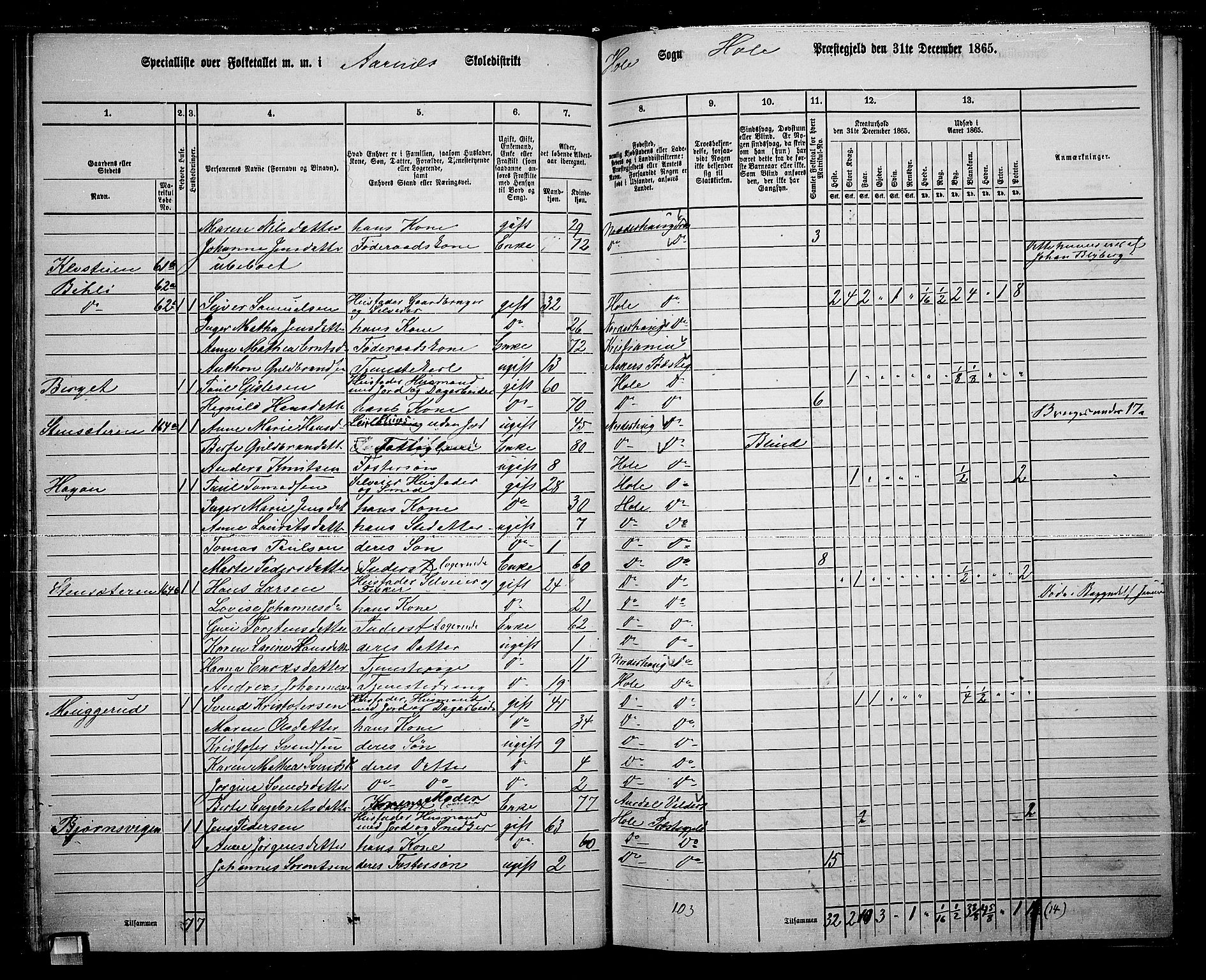 RA, 1865 census for Hole, 1865, p. 53