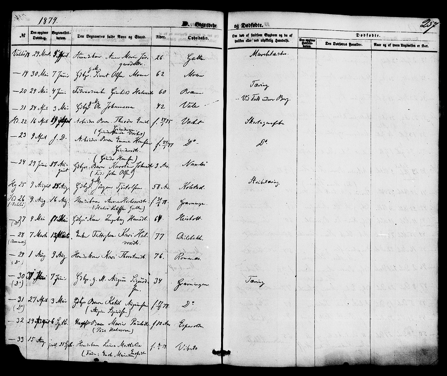 Holla kirkebøker, SAKO/A-272/F/Fa/L0007: Parish register (official) no. 7, 1869-1881, p. 257