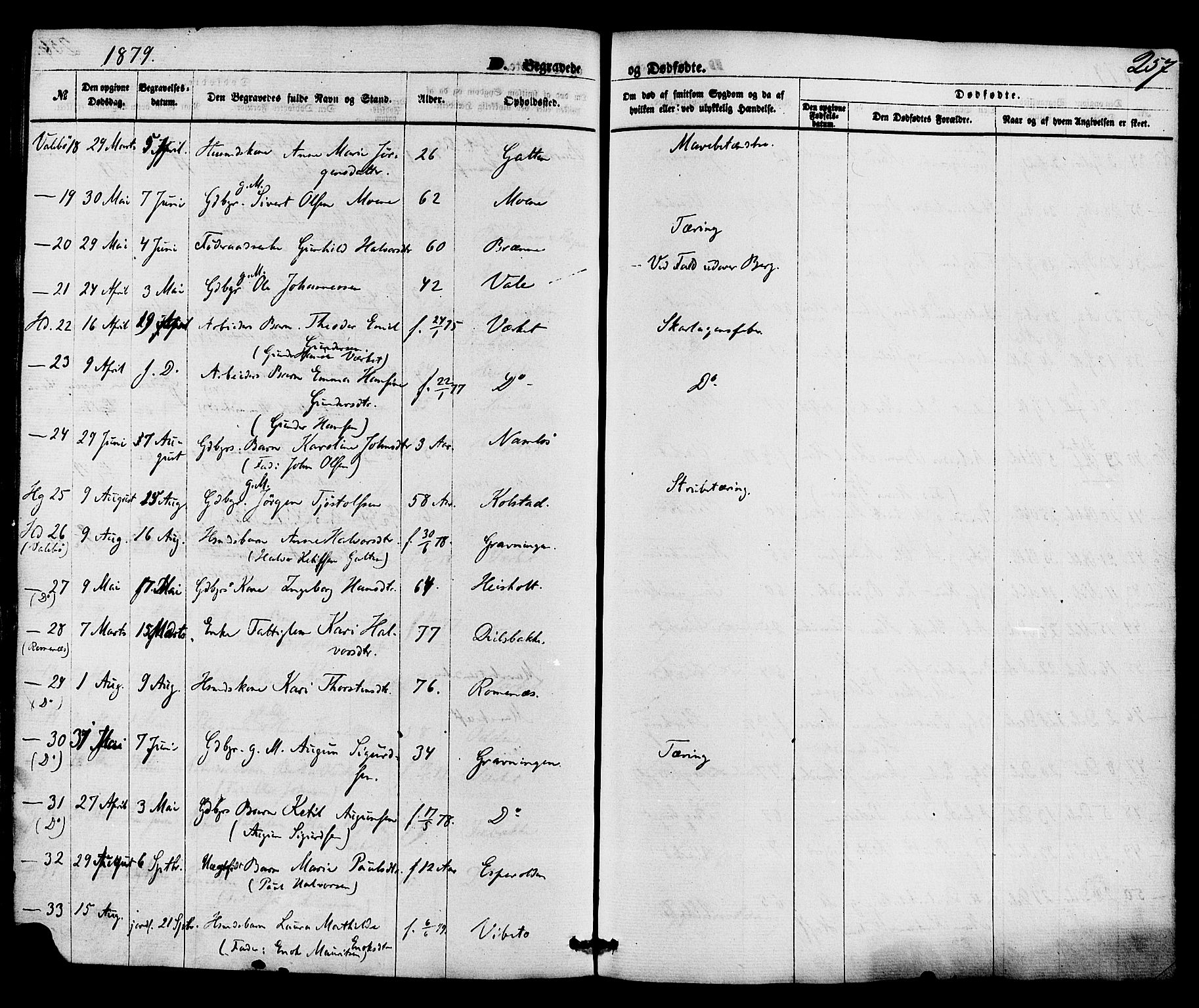 Holla kirkebøker, AV/SAKO-A-272/F/Fa/L0007: Parish register (official) no. 7, 1869-1881, p. 257