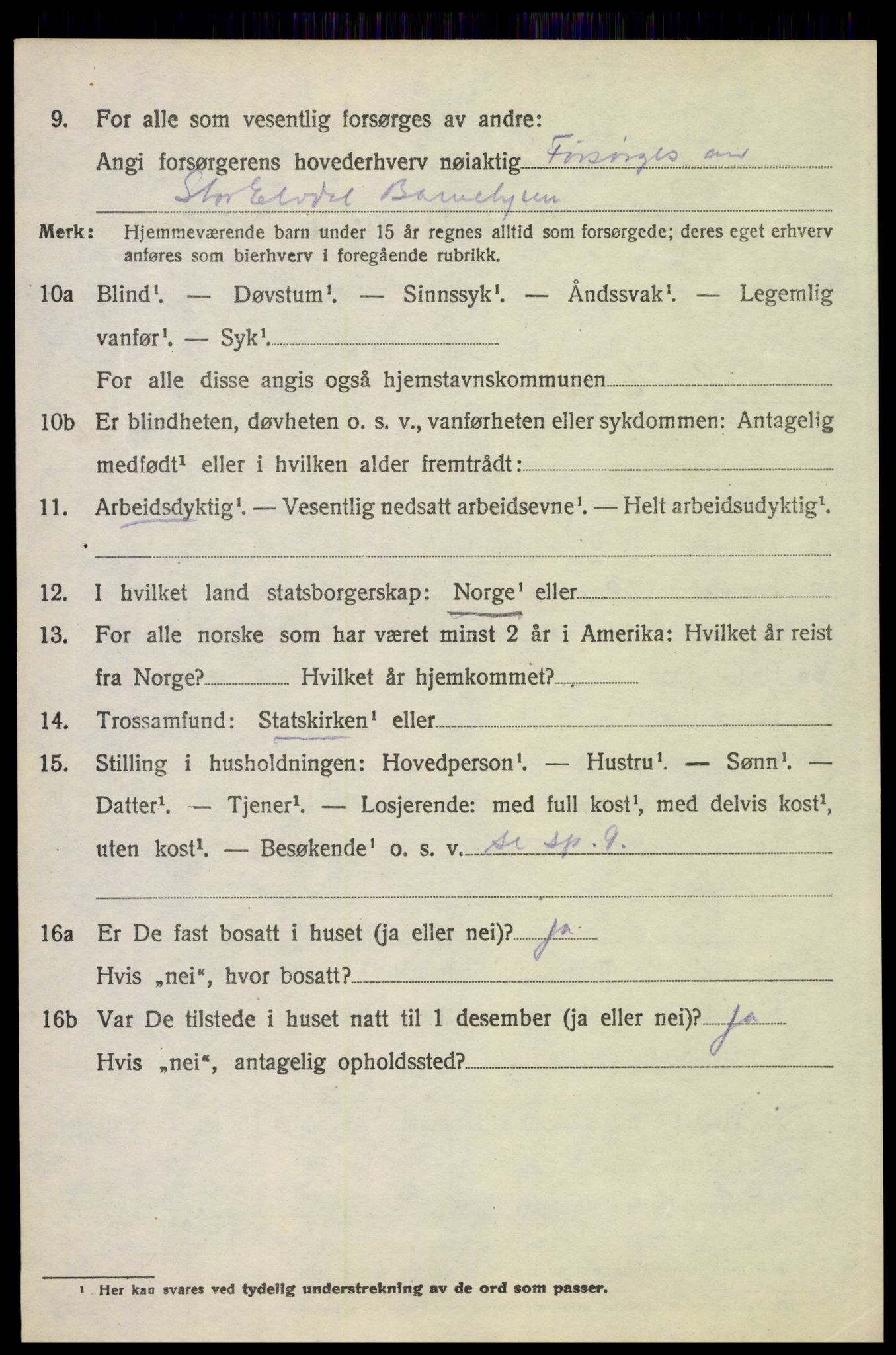 SAH, 1920 census for Stor-Elvdal, 1920, p. 4921