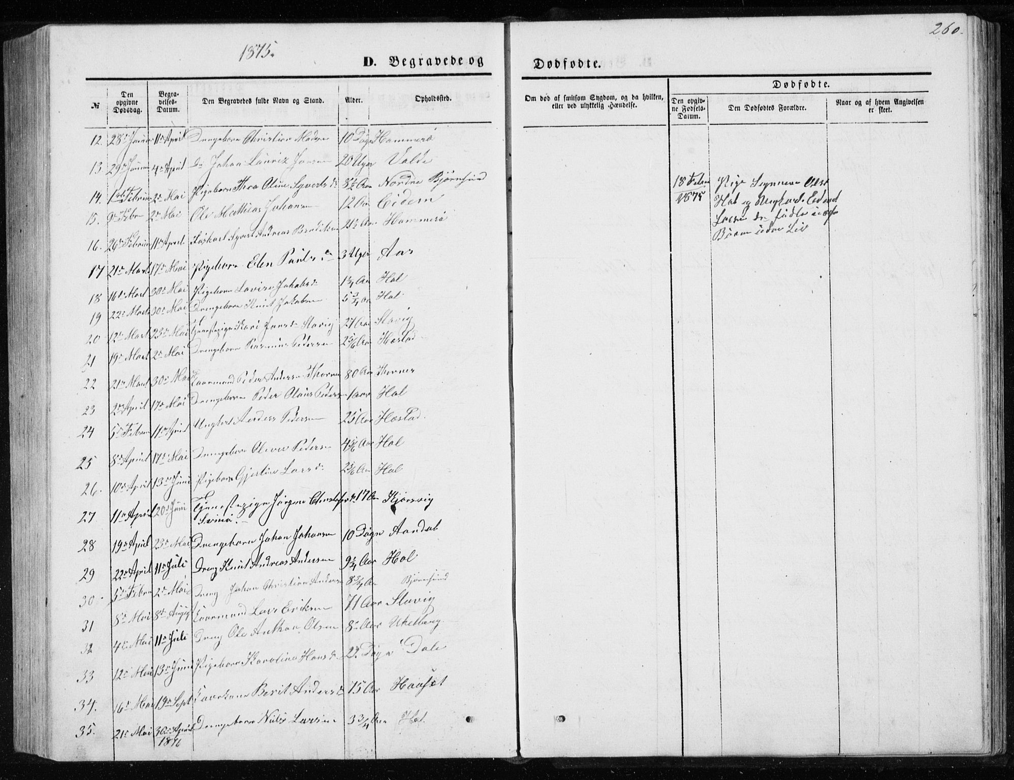 Ministerialprotokoller, klokkerbøker og fødselsregistre - Møre og Romsdal, AV/SAT-A-1454/565/L0754: Parish register (copy) no. 565C03, 1870-1896, p. 260