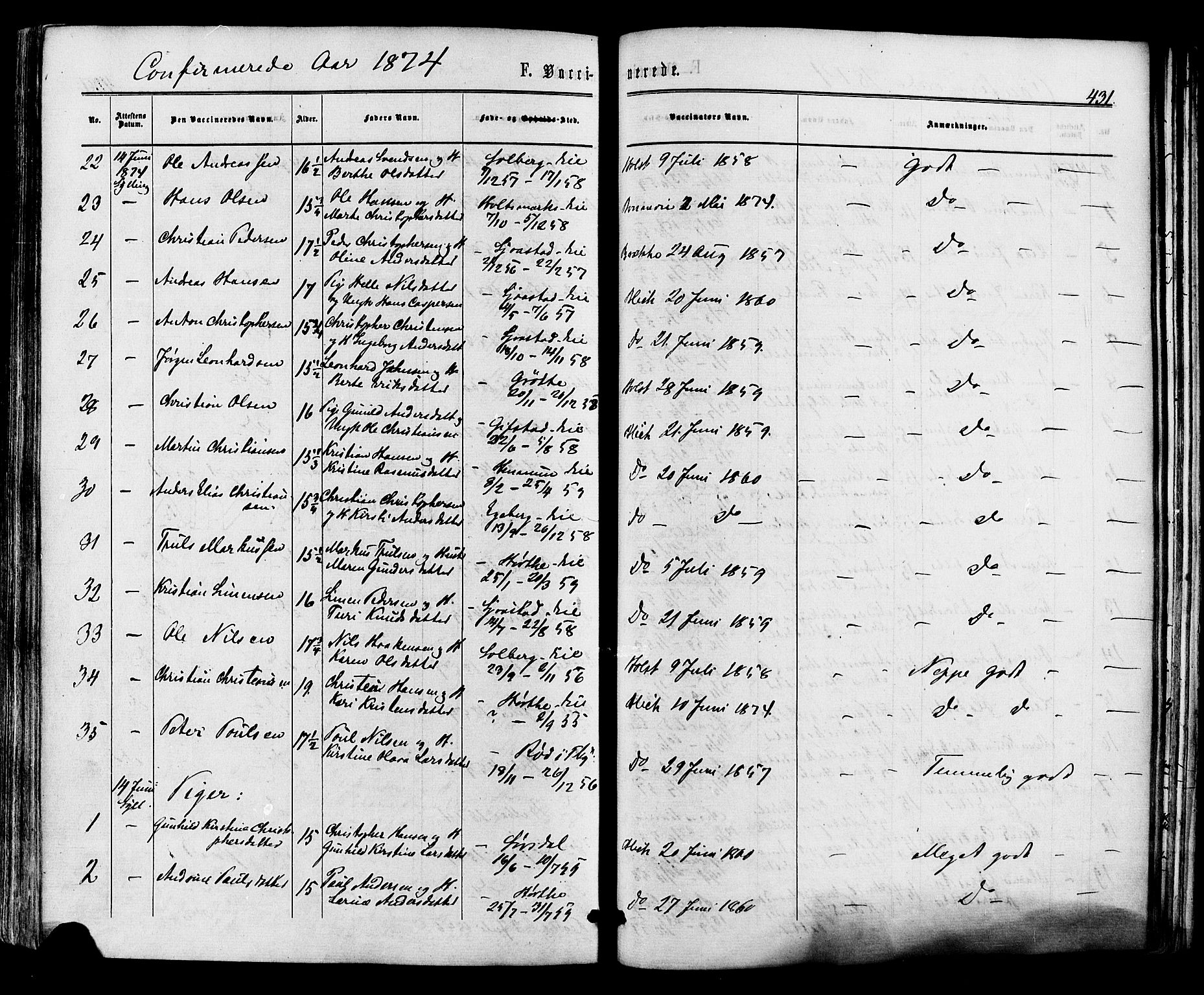 Lier kirkebøker, AV/SAKO-A-230/F/Fa/L0013: Parish register (official) no. I 13, 1865-1874, p. 431