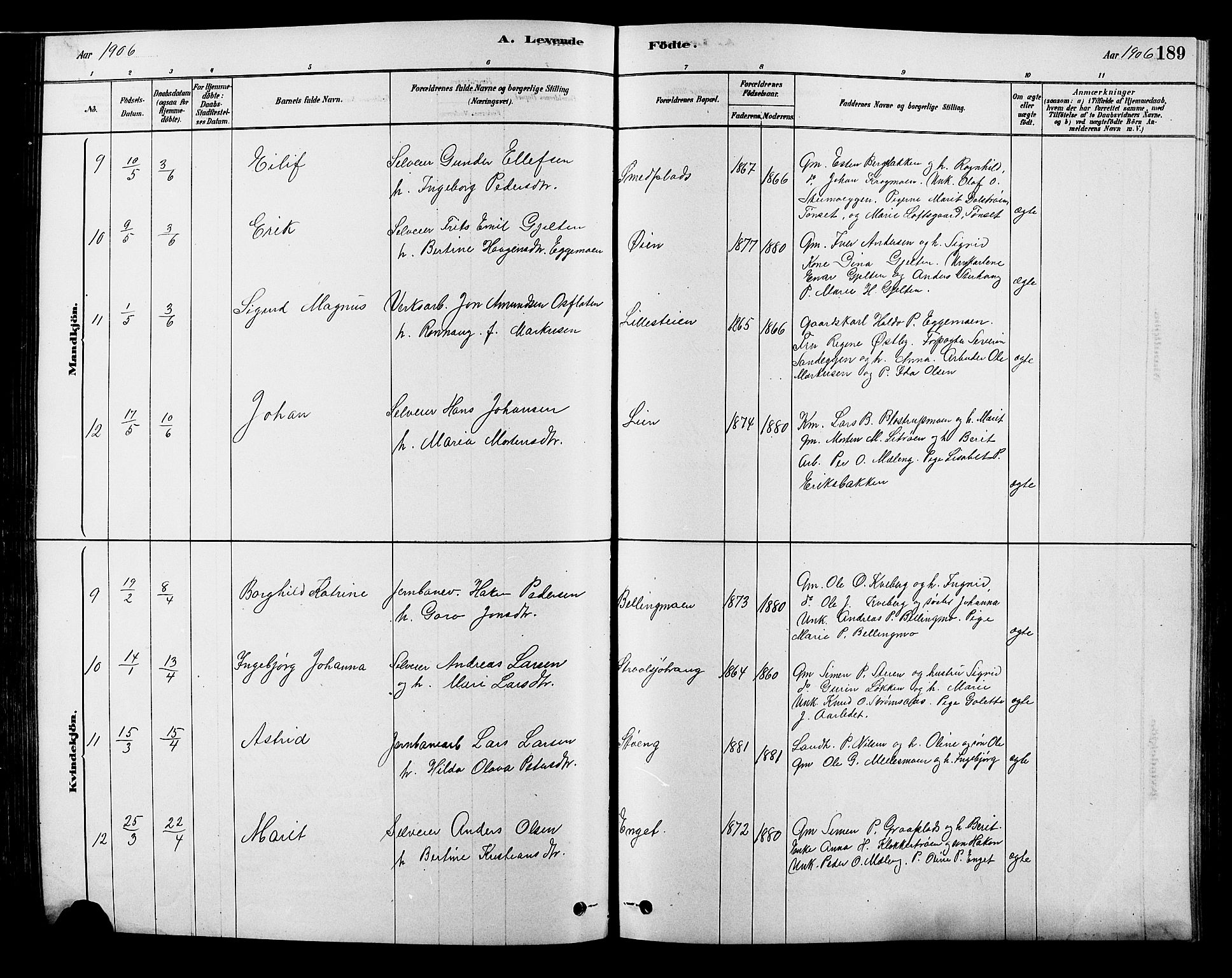 Alvdal prestekontor, SAH/PREST-060/H/Ha/Hab/L0003: Parish register (copy) no. 3, 1878-1907, p. 189