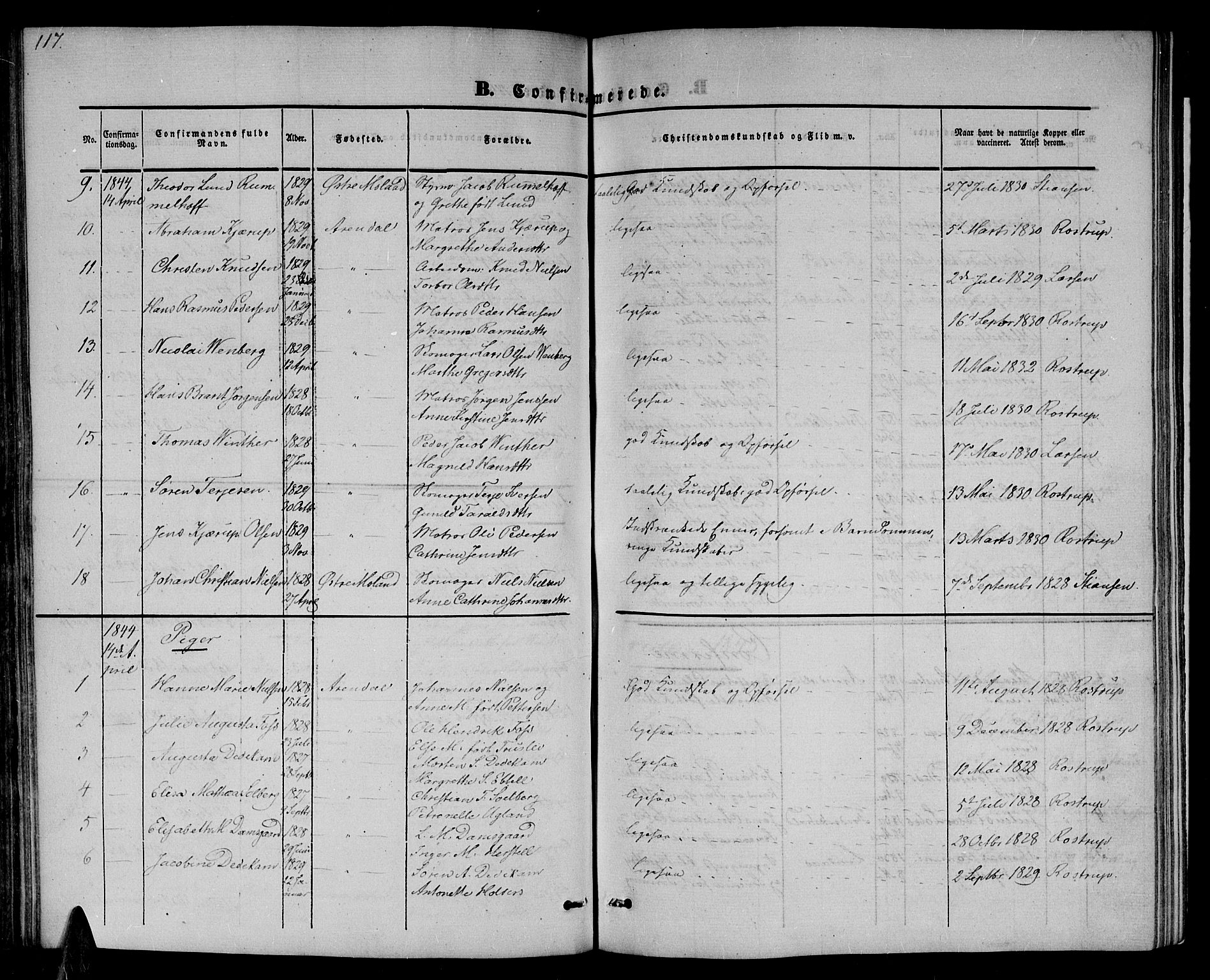 Arendal sokneprestkontor, Trefoldighet, AV/SAK-1111-0040/F/Fb/L0002: Parish register (copy) no. B 2, 1838-1860, p. 117