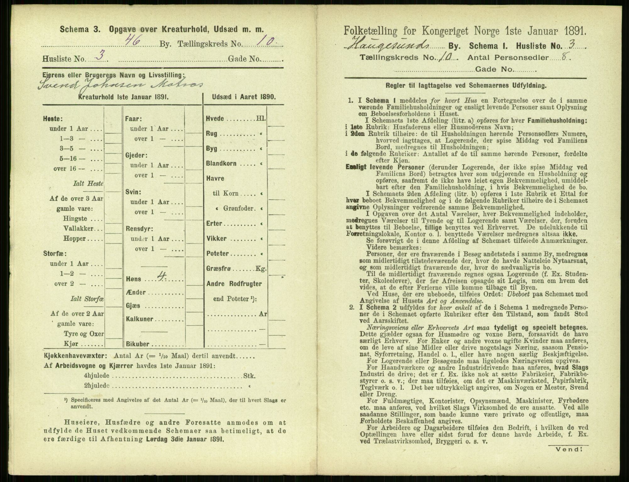 RA, 1891 census for 1106 Haugesund, 1891, p. 687