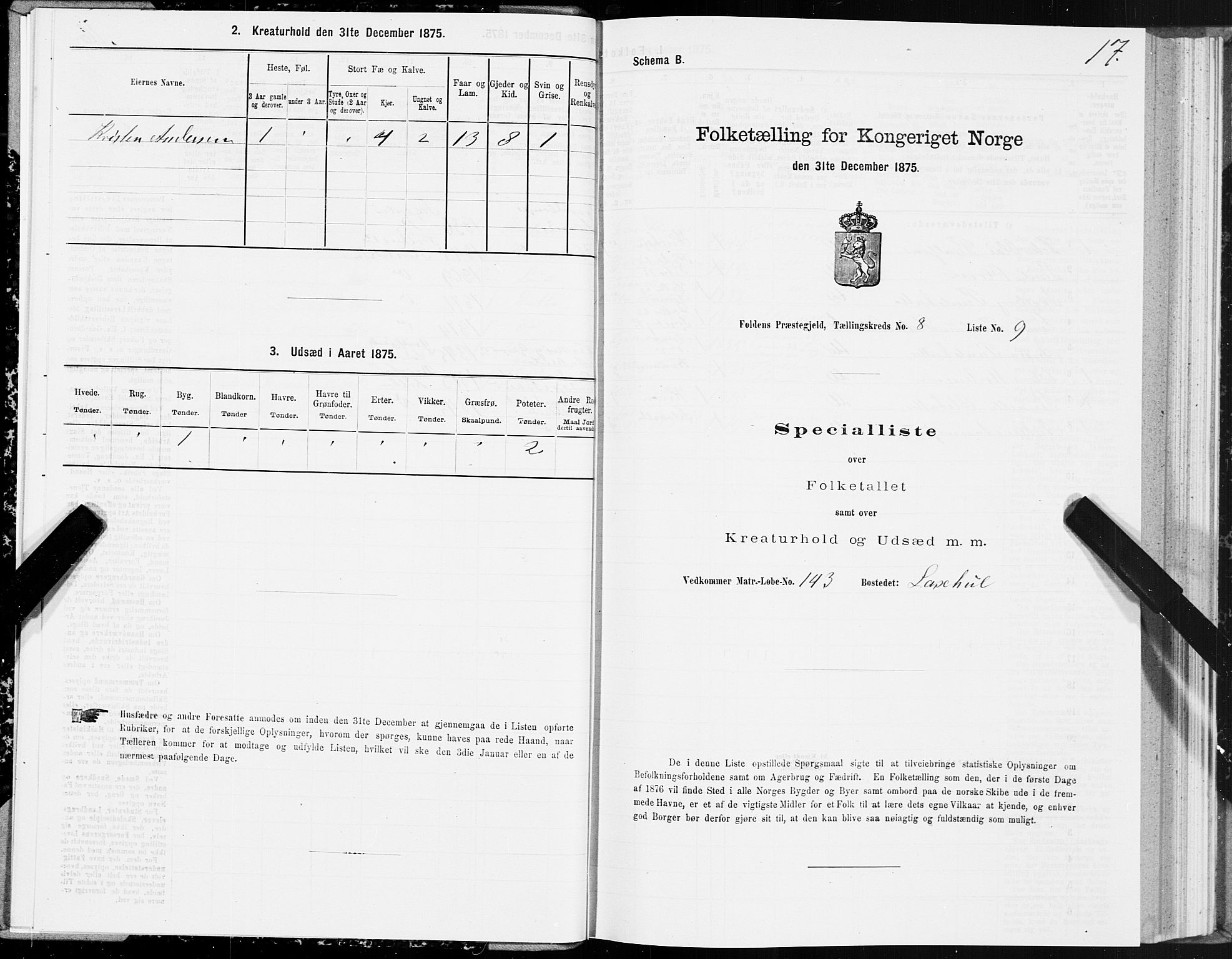 SAT, 1875 census for 1845P Folda, 1875, p. 3017