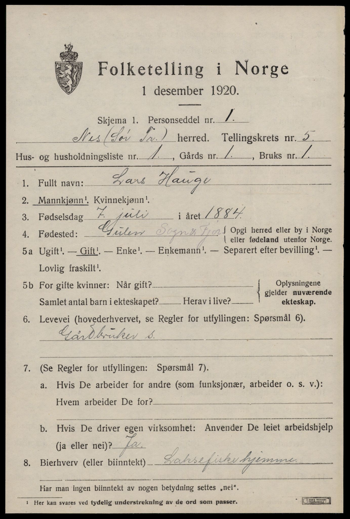 SAT, 1920 census for Nes (ST), 1920, p. 2881