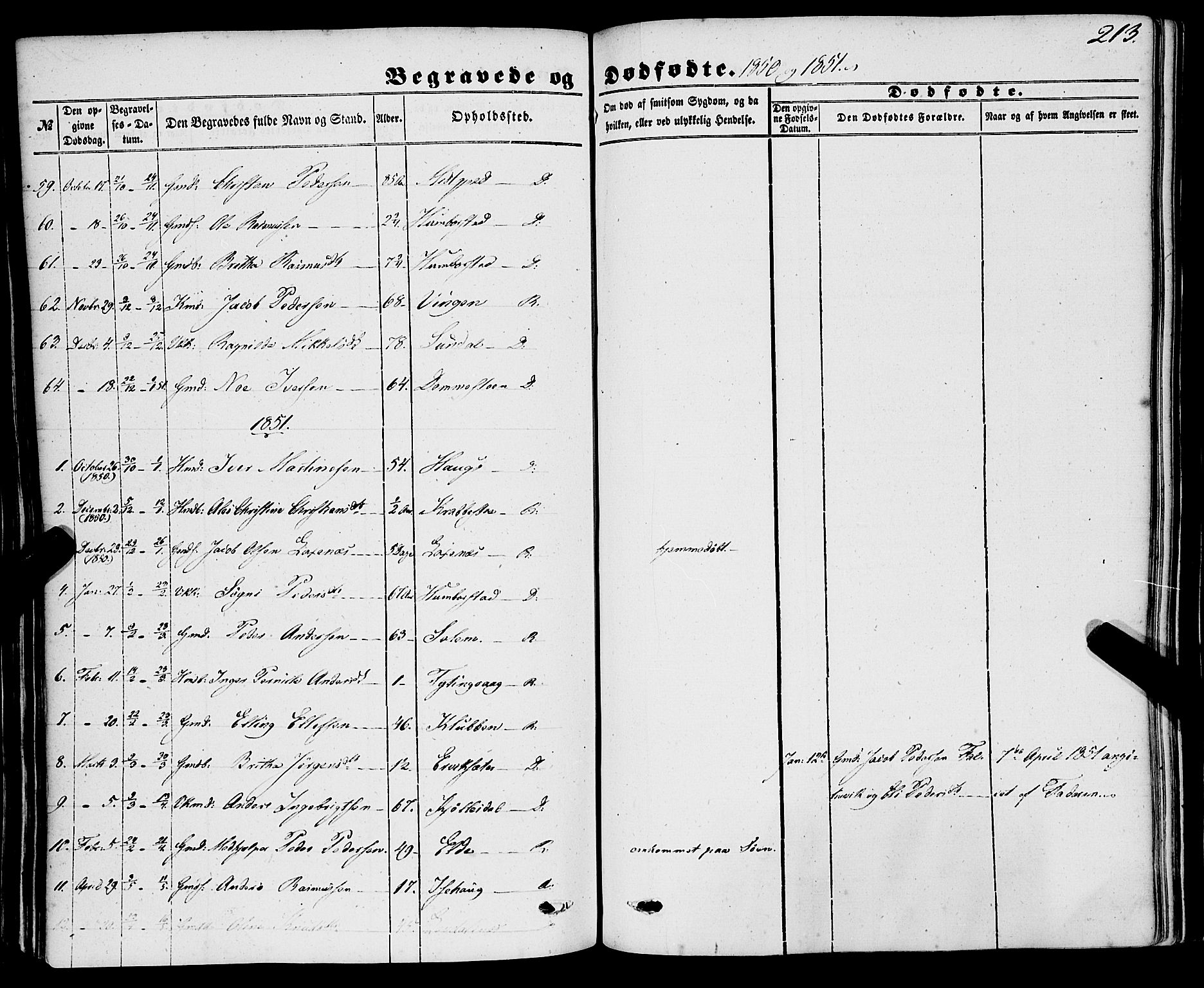 Davik sokneprestembete, AV/SAB-A-79701/H/Haa/Haaa/L0005: Parish register (official) no. A 5, 1850-1866, p. 213