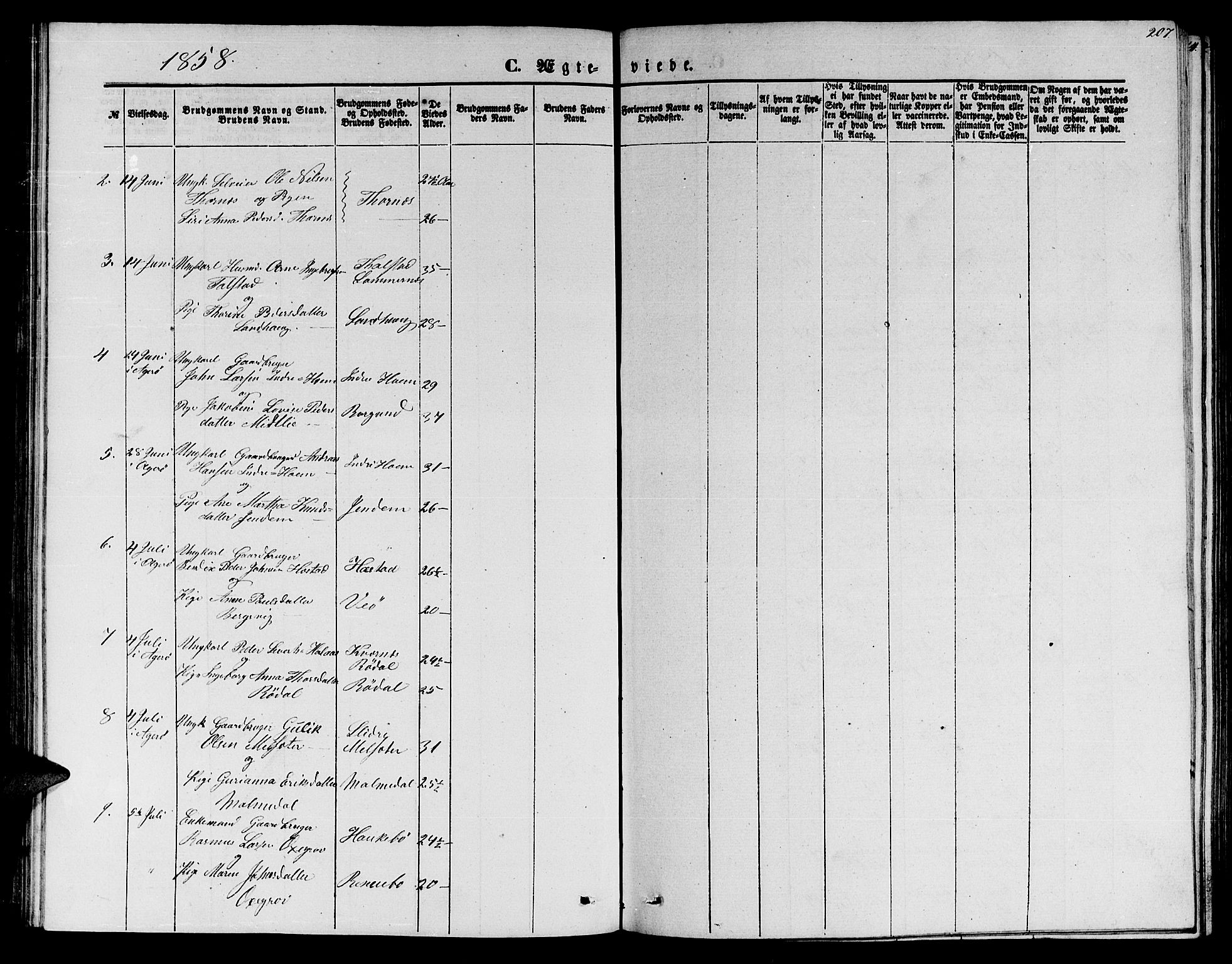 Ministerialprotokoller, klokkerbøker og fødselsregistre - Møre og Romsdal, SAT/A-1454/565/L0753: Parish register (copy) no. 565C02, 1845-1870, p. 207