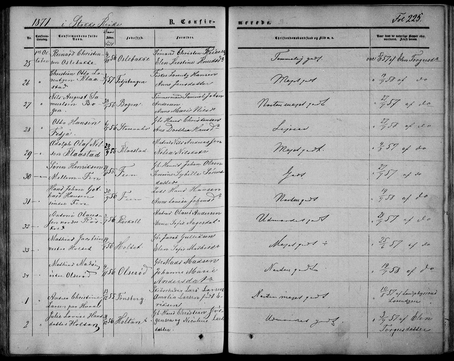 Stokke kirkebøker, SAKO/A-320/F/Fa/L0008: Parish register (official) no. I 8, 1858-1871, p. 225