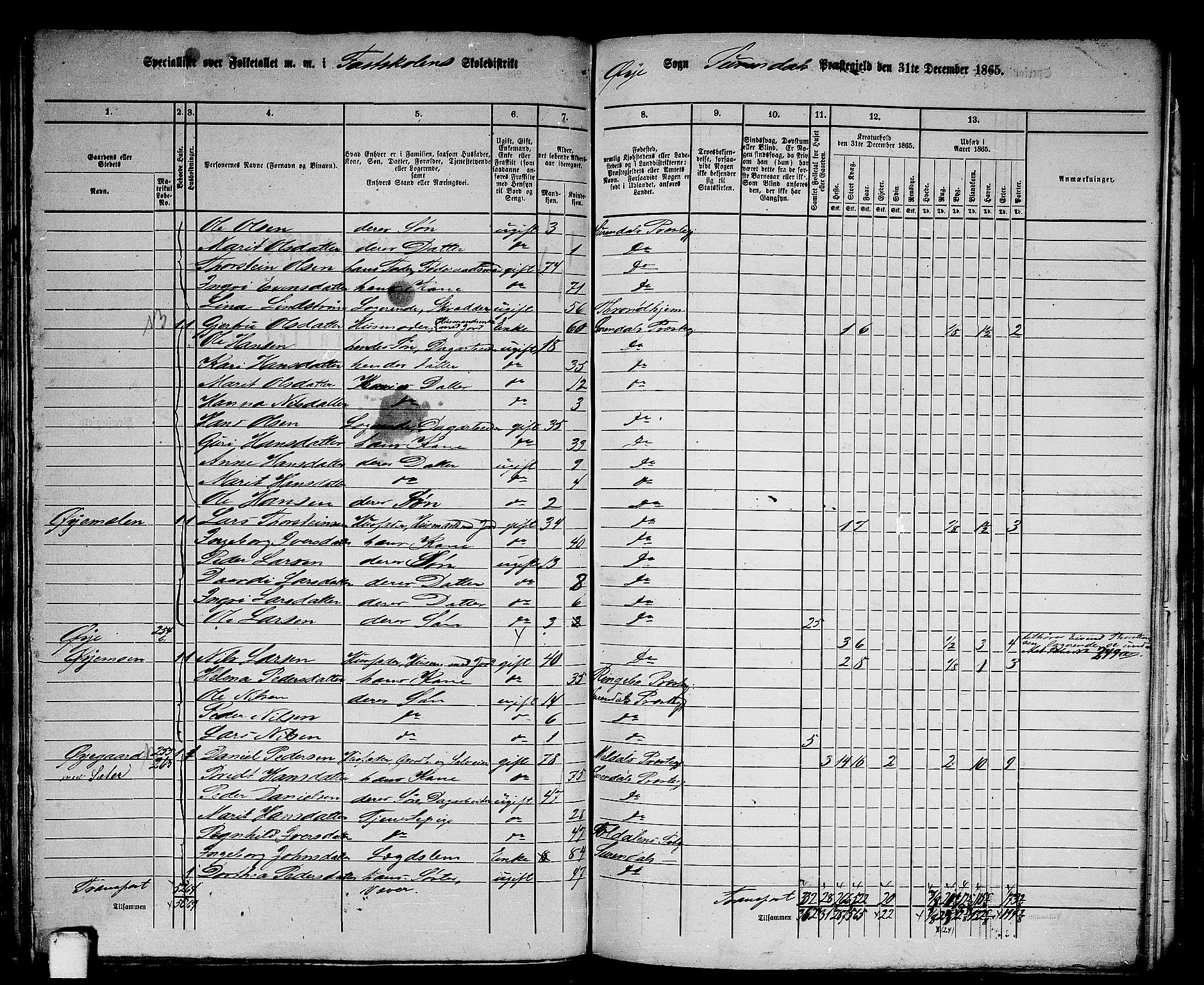 RA, 1865 census for Surnadal, 1865, p. 123