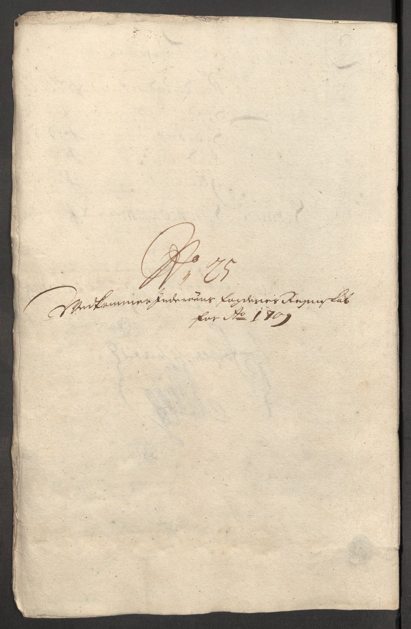 Rentekammeret inntil 1814, Reviderte regnskaper, Fogderegnskap, AV/RA-EA-4092/R63/L4317: Fogderegnskap Inderøy, 1709, p. 255