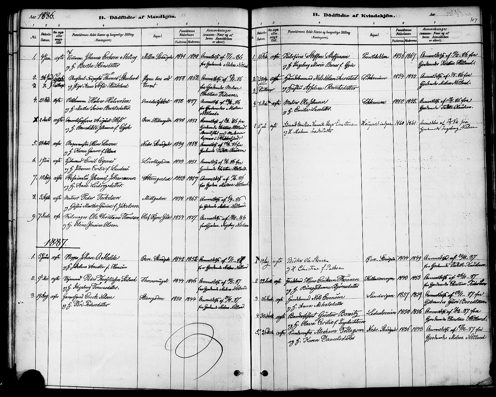 Domkirken sokneprestkontor, AV/SAST-A-101812/001/30/30BA/L0026: Parish register (official) no. A 25, 1878-1889, p. 307