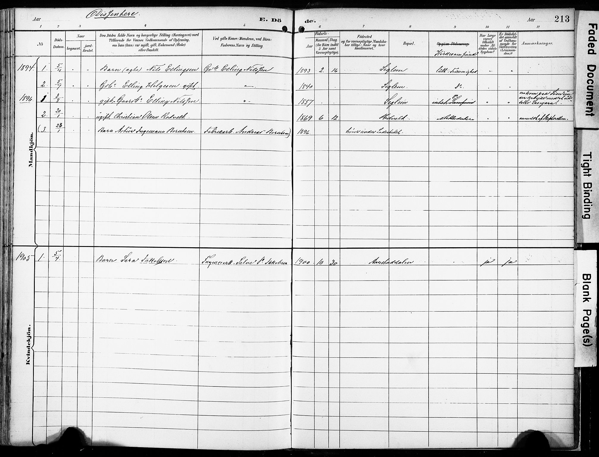 Eigersund sokneprestkontor, SAST/A-101807/S08/L0018: Parish register (official) no. A 17, 1892-1905, p. 213