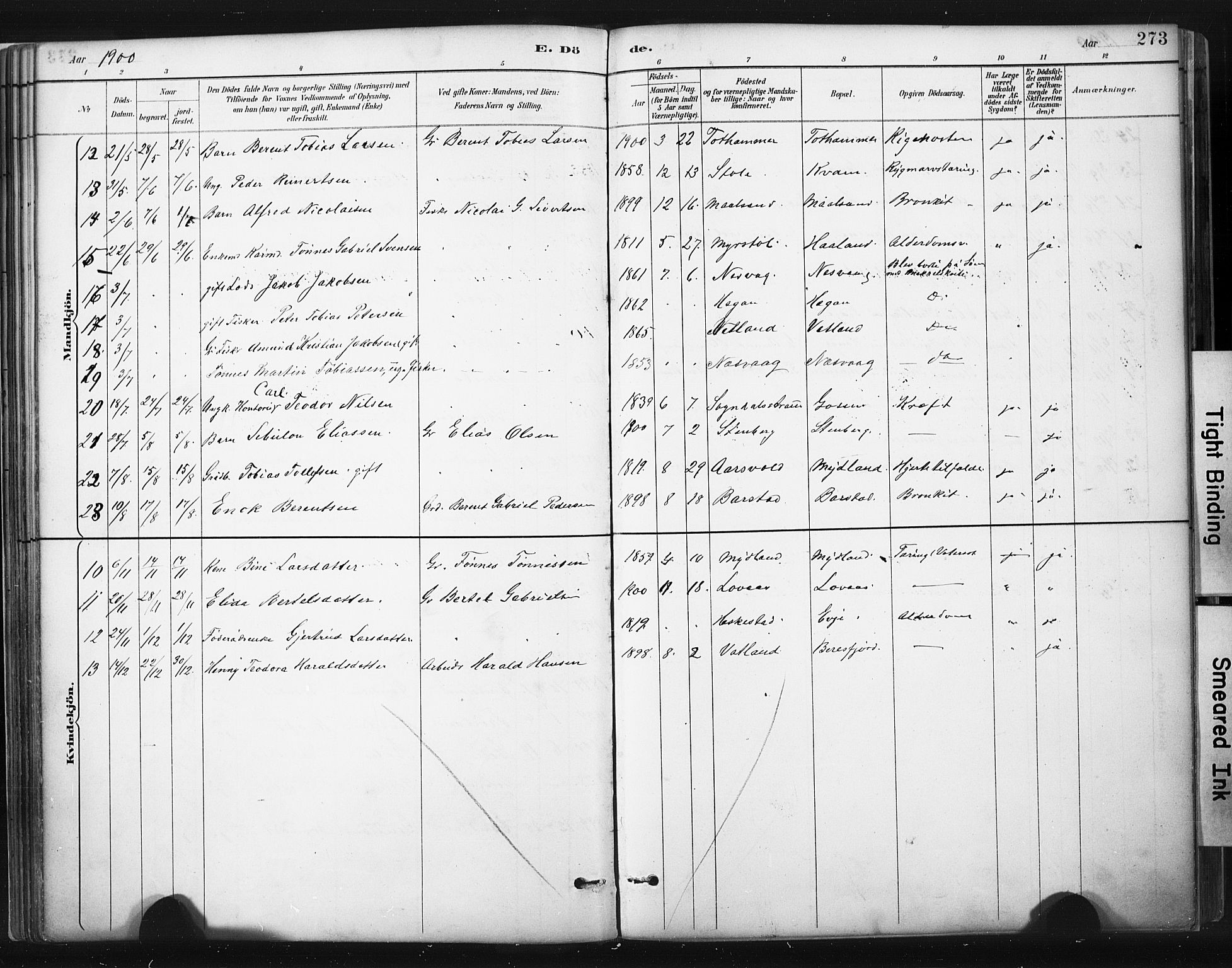 Sokndal sokneprestkontor, AV/SAST-A-101808: Parish register (official) no. A 11.2, 1887-1905, p. 273