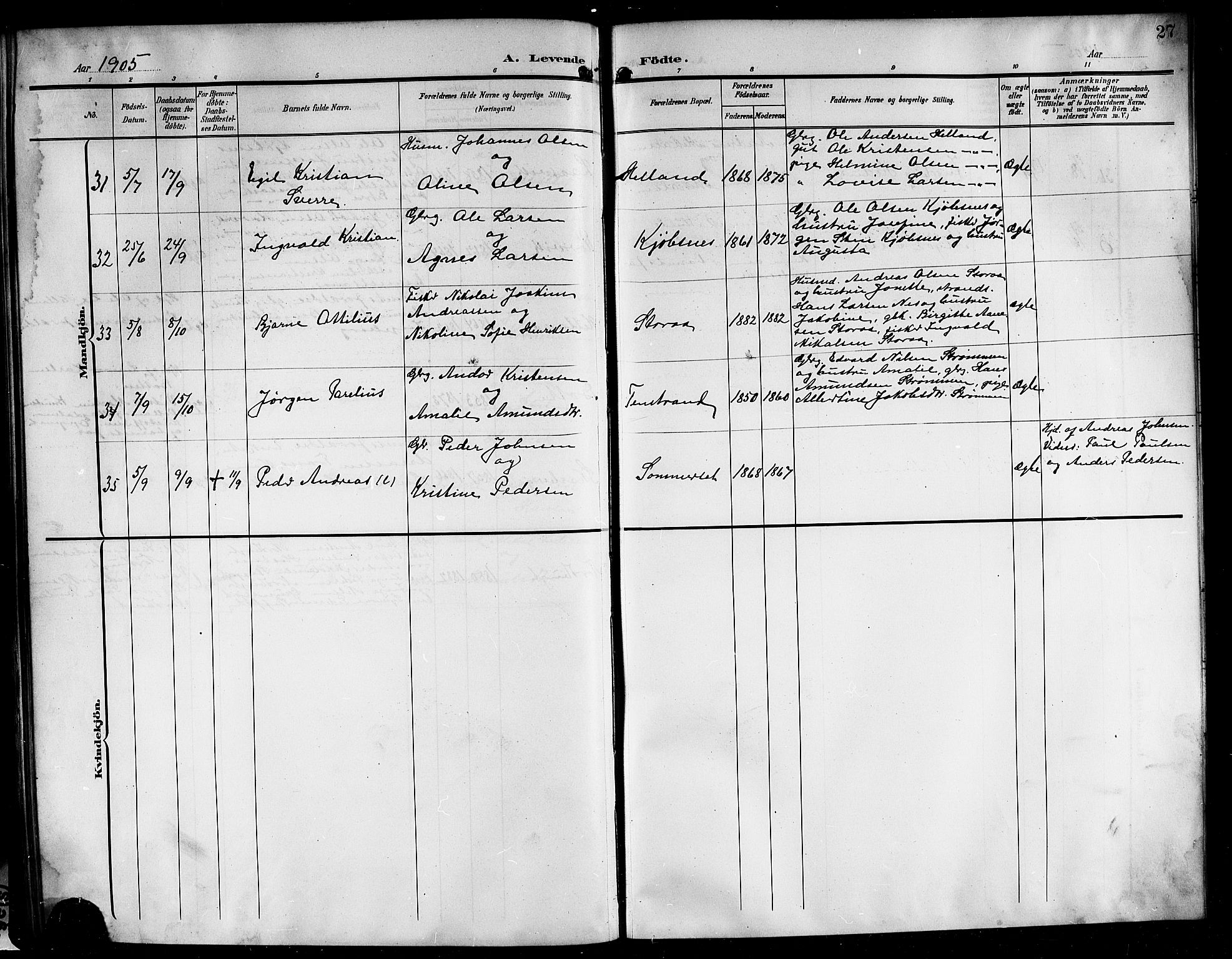 Ministerialprotokoller, klokkerbøker og fødselsregistre - Nordland, AV/SAT-A-1459/861/L0877: Parish register (copy) no. 861C03, 1903-1919, p. 27