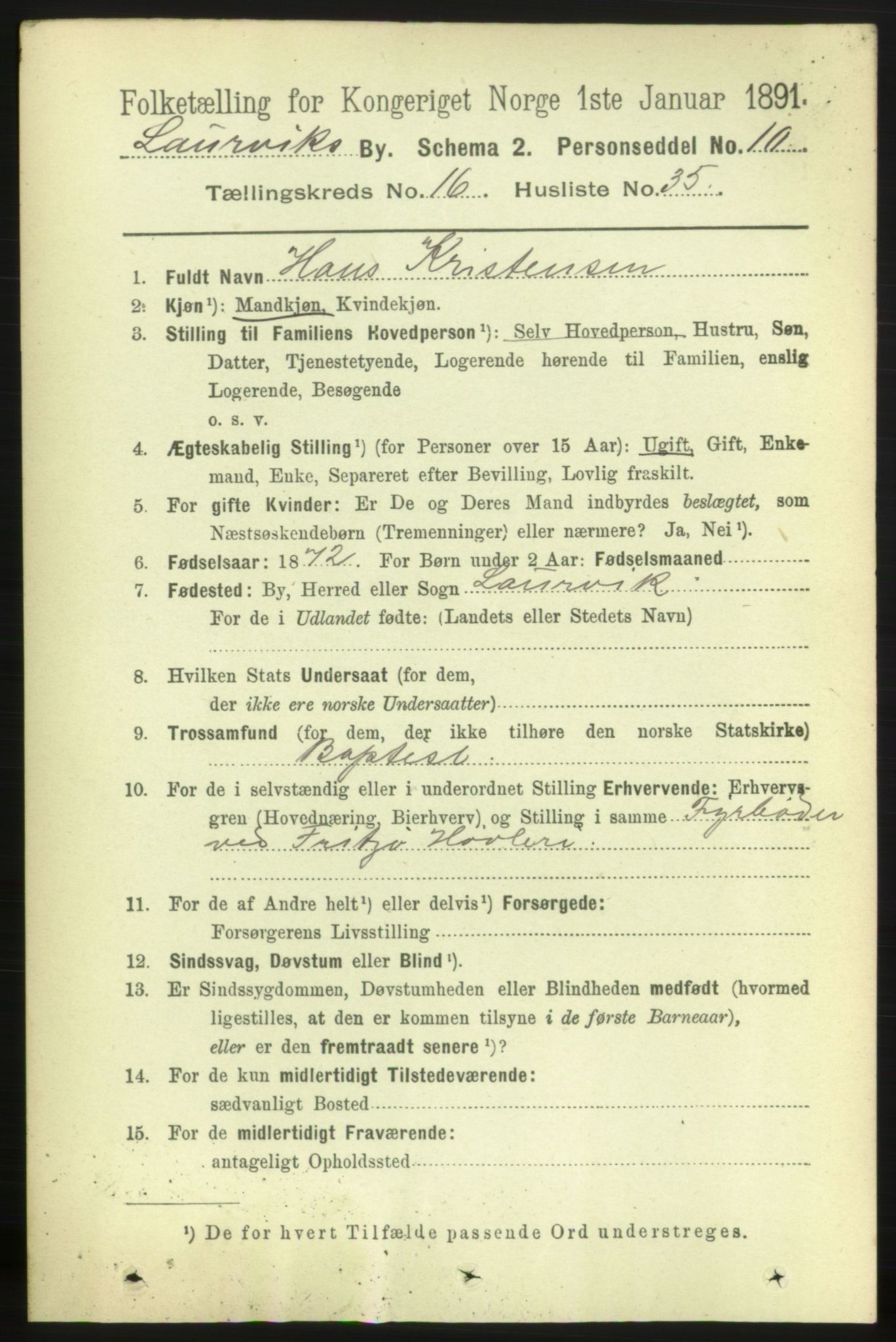 RA, 1891 census for 0707 Larvik, 1891, p. 11913