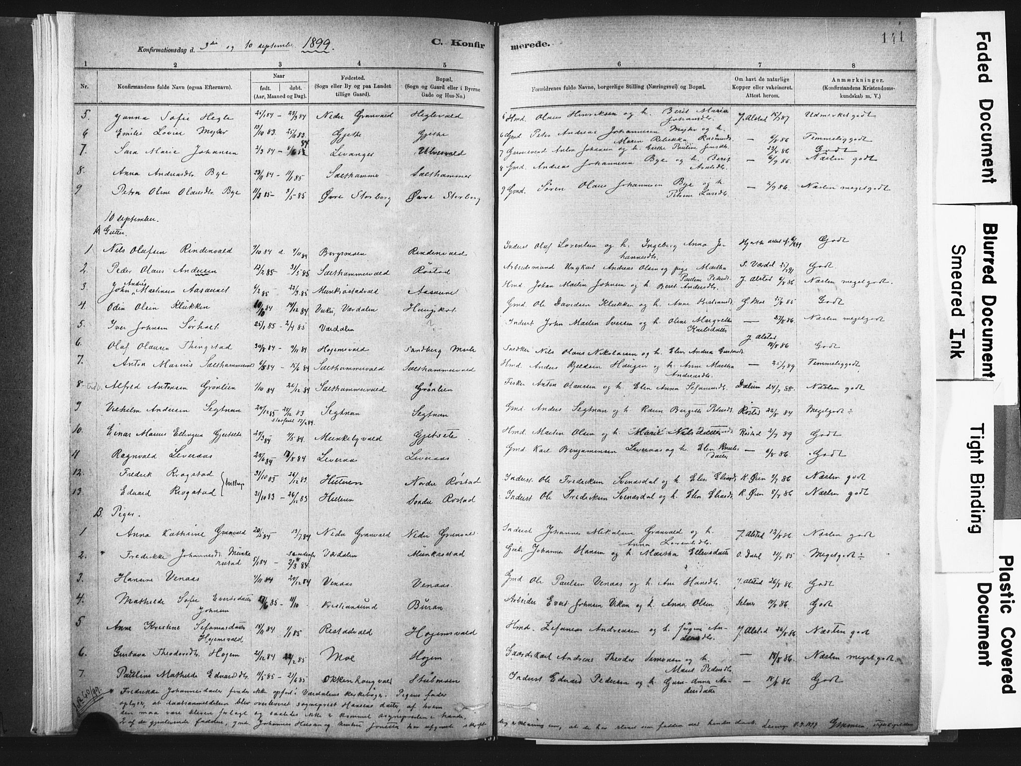 Ministerialprotokoller, klokkerbøker og fødselsregistre - Nord-Trøndelag, SAT/A-1458/721/L0207: Parish register (official) no. 721A02, 1880-1911, p. 141